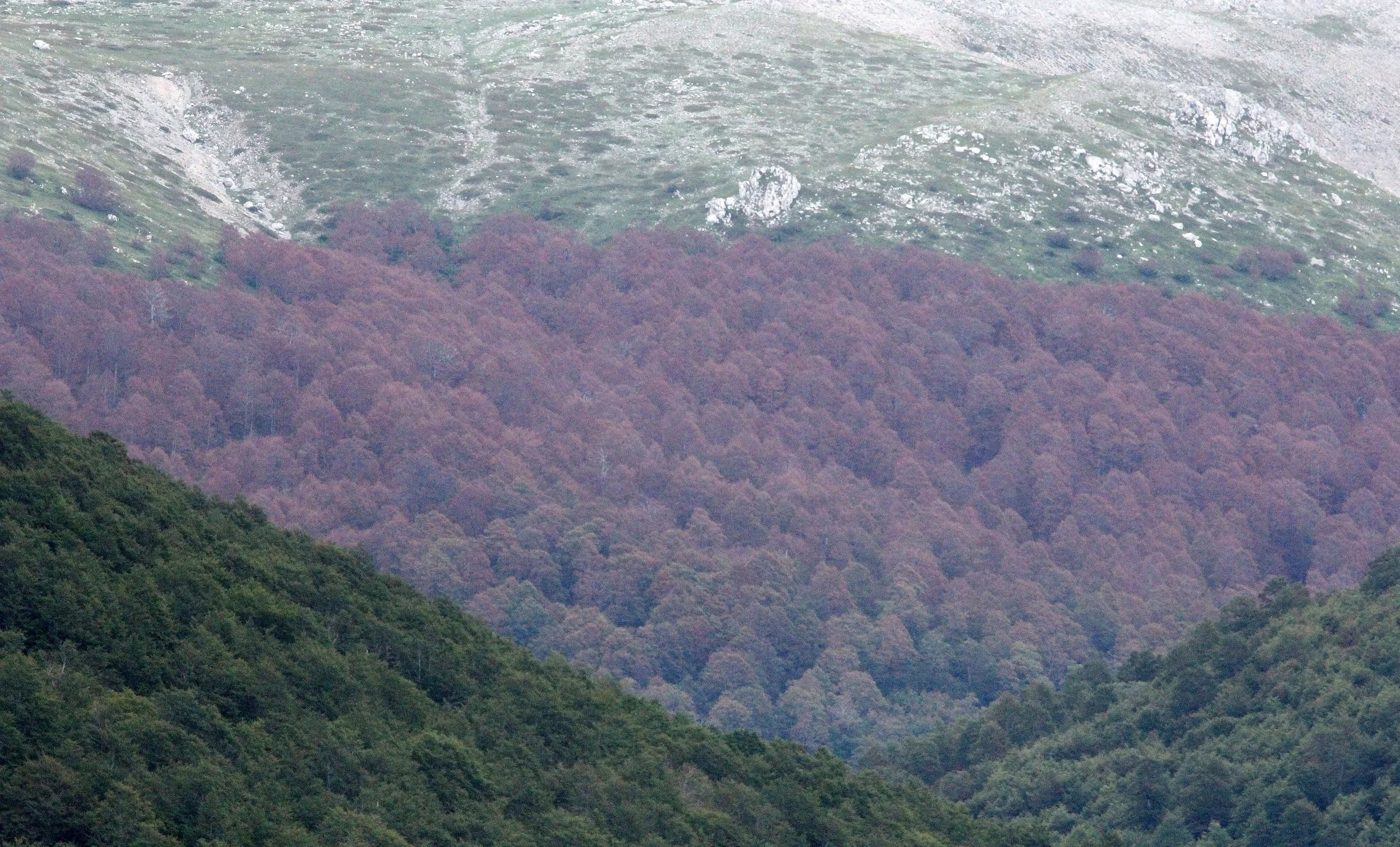 ABRUZZO NATIONAL PARK ITALY (93).JPG