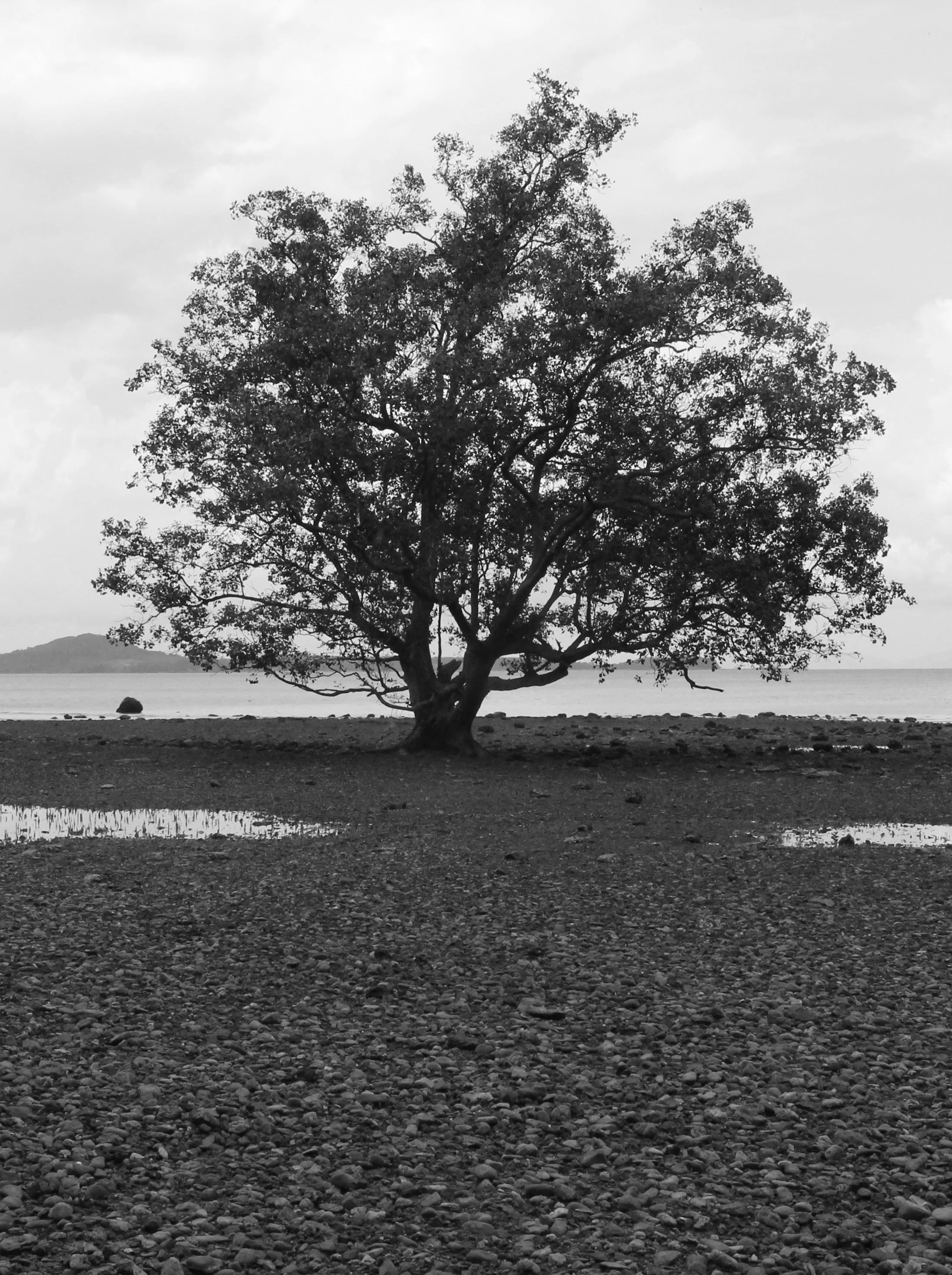 2014 Koh Lanta with Cokie & Som and Phil & Shelley Summer Travels (5).JPG