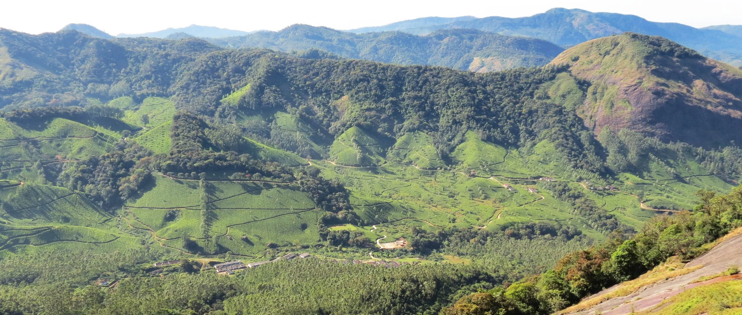Eravikulam National Park