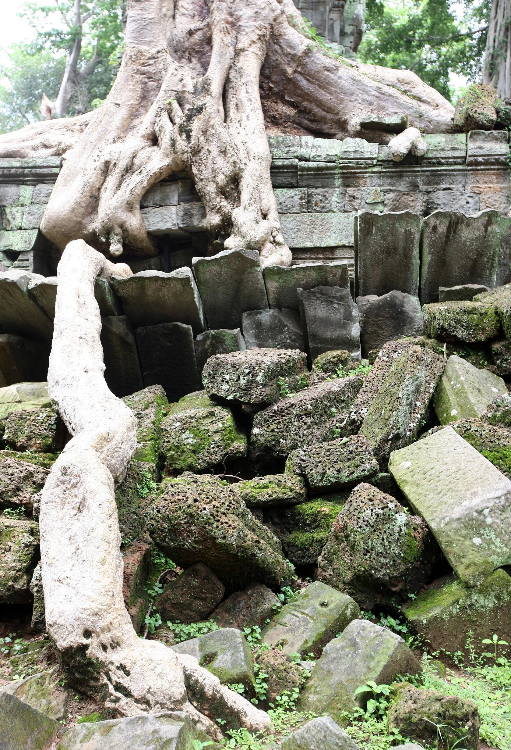 TA PROHM TEMPLE CAMBODIA - JULY 2010 (11).JPG