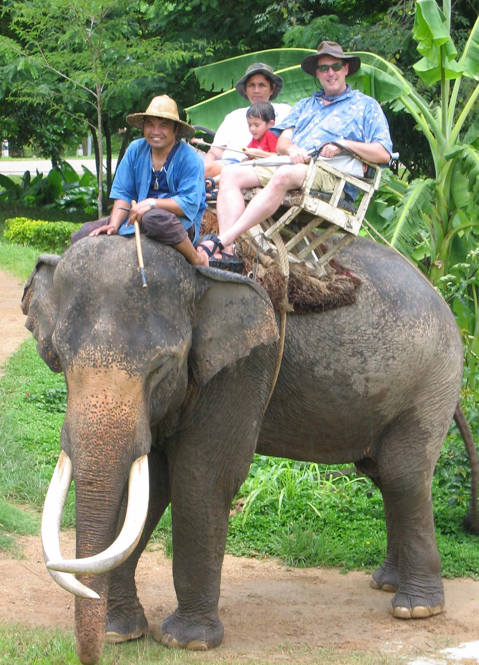 2008 Lampang City & Elephant Center (125).jpg