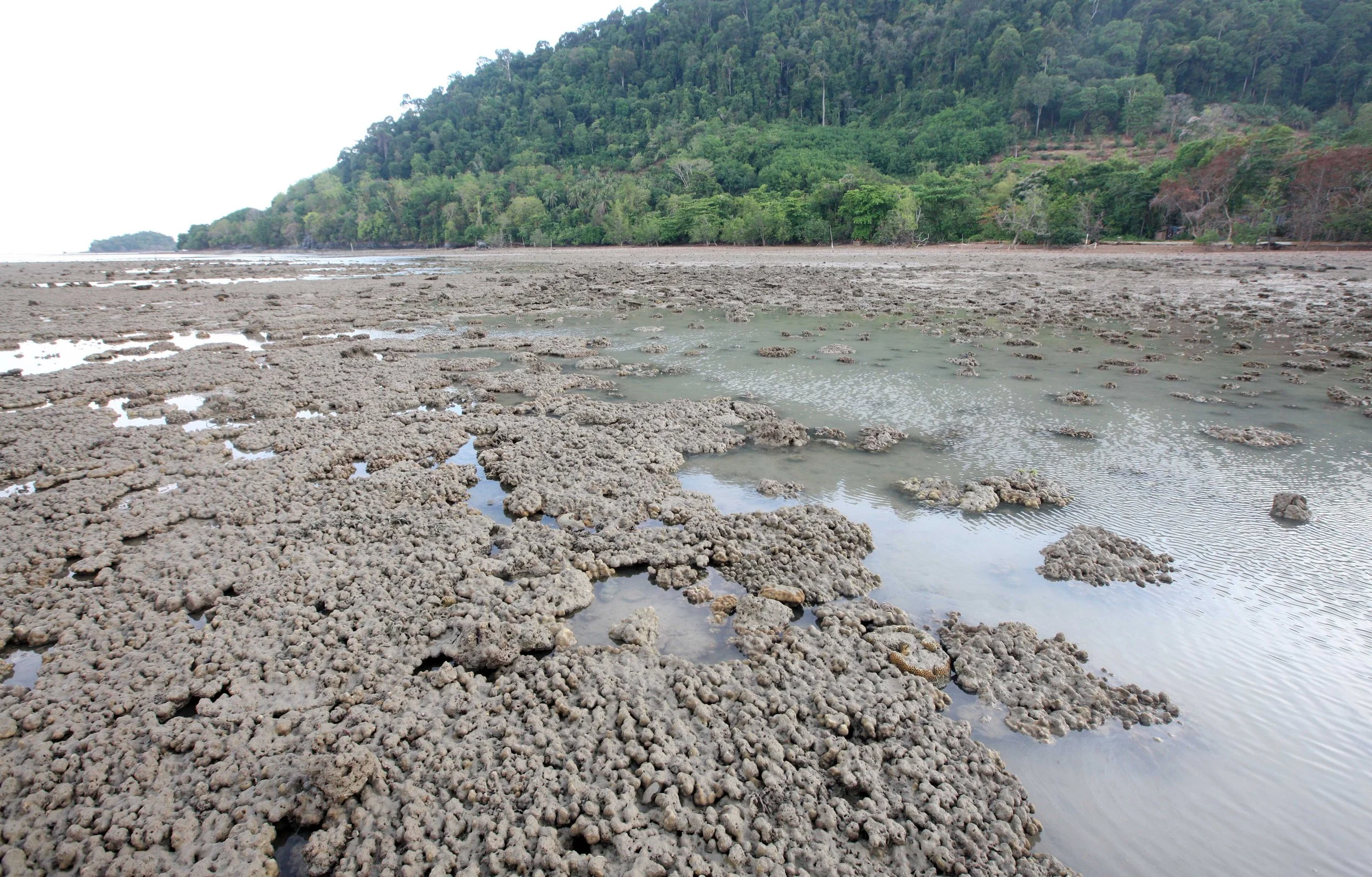 2015 Koh Lanta Songkran with friends from ISB (233).JPG