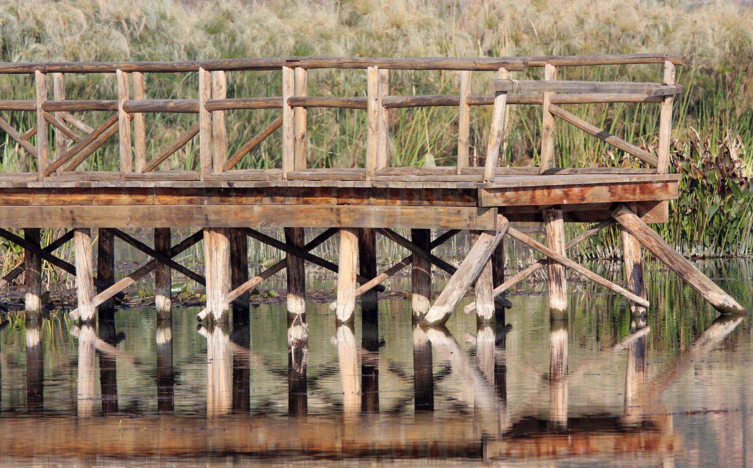 YUNNAN - DALI - WETLANDS NEAR DALI (7).JPG
