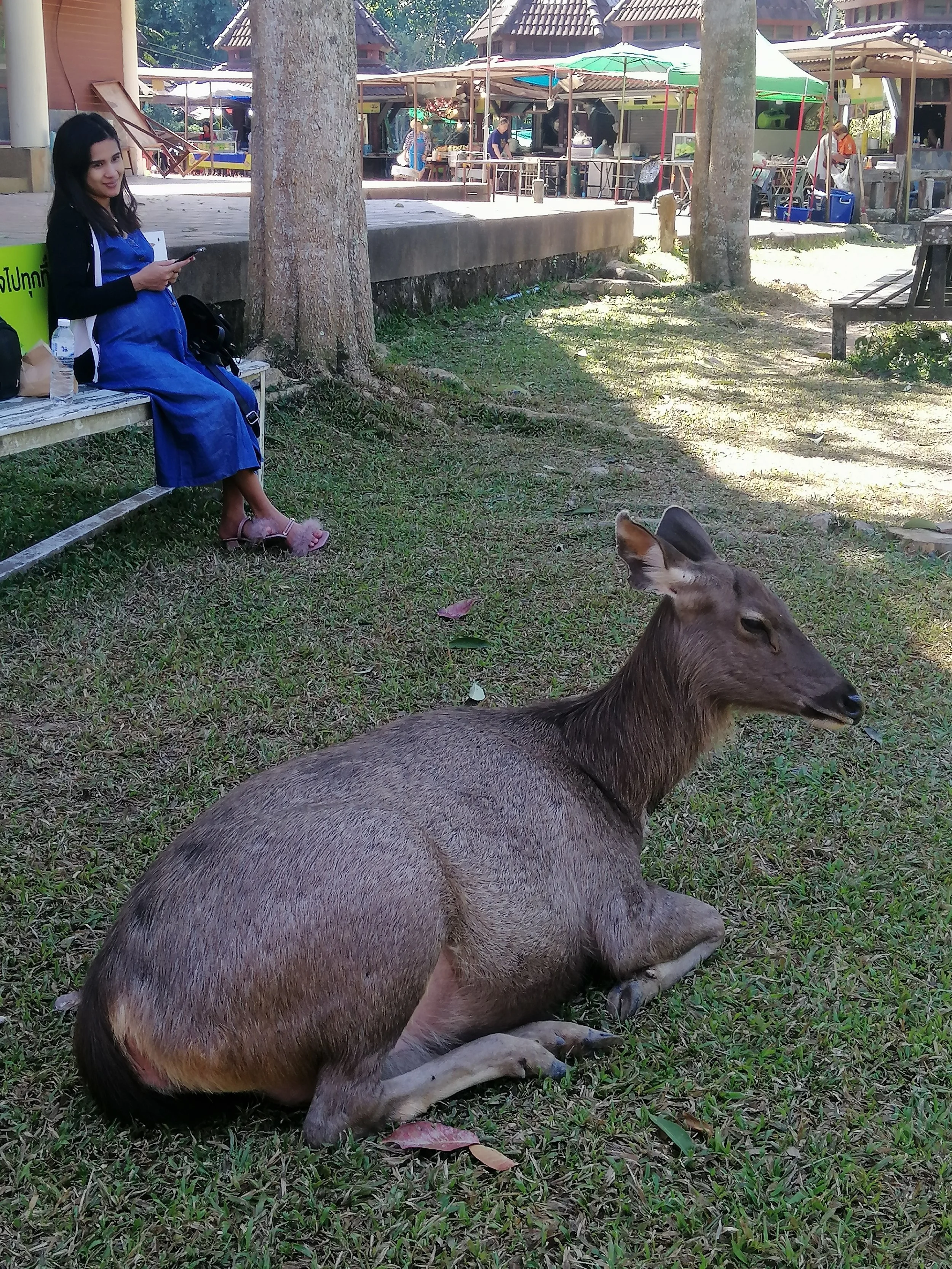 2019 Khao Yai National Park Camping with Gift (50).jpg