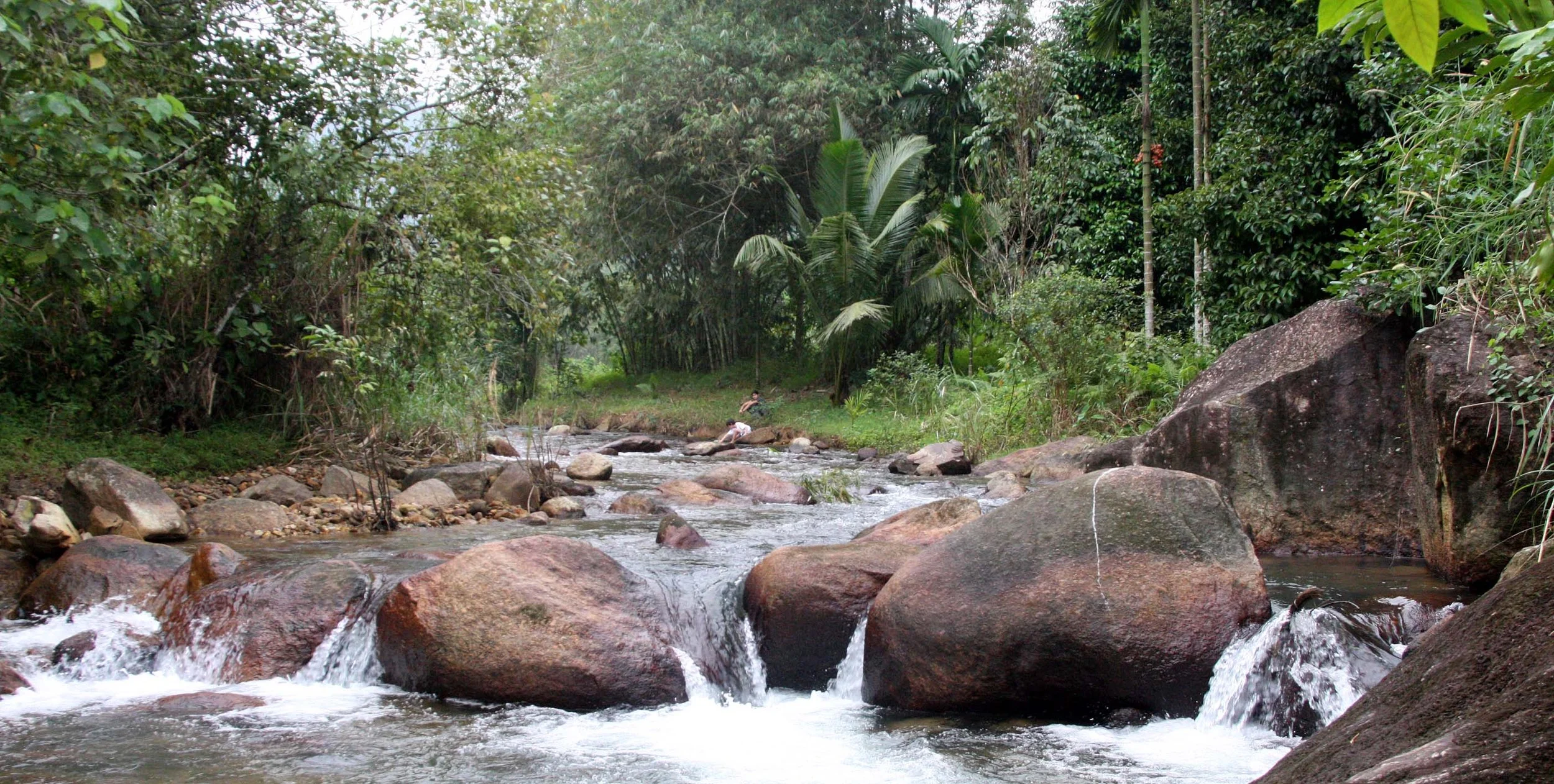 2009 Promluk Property Views (21).JPG