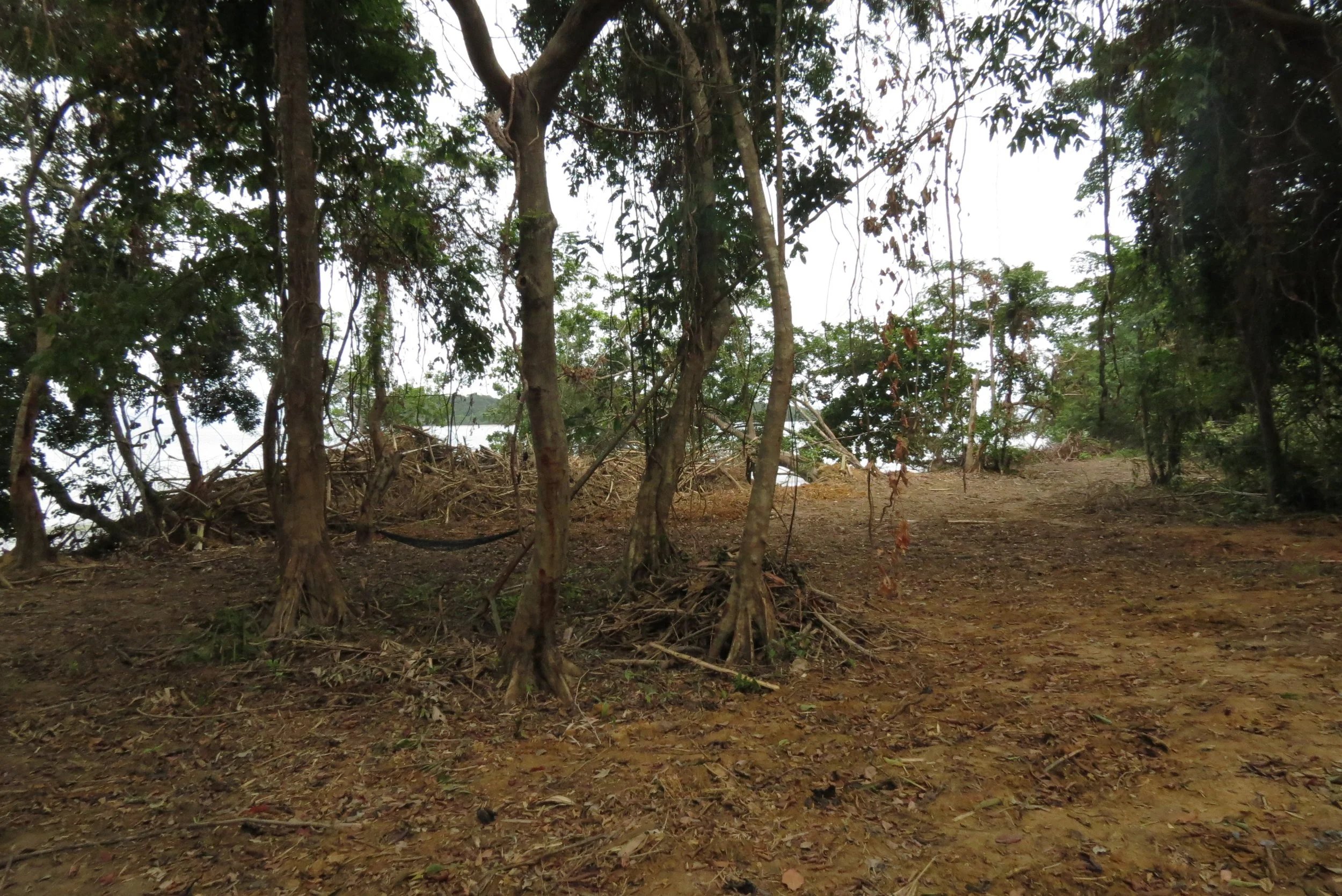 2014 Koh Lanta Build (81).JPG