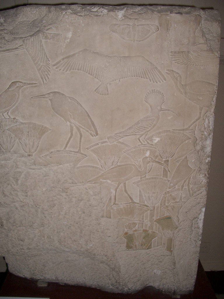 CAIRO MUSEUM - TUT EXHIBIT AND OTHERS (56).JPG