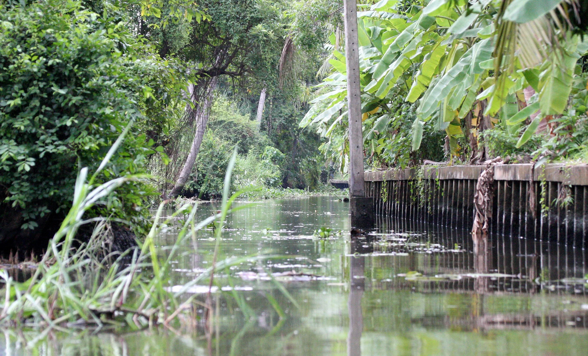 2008 Bangkok Scenes & Thonburi Canals (46).JPG