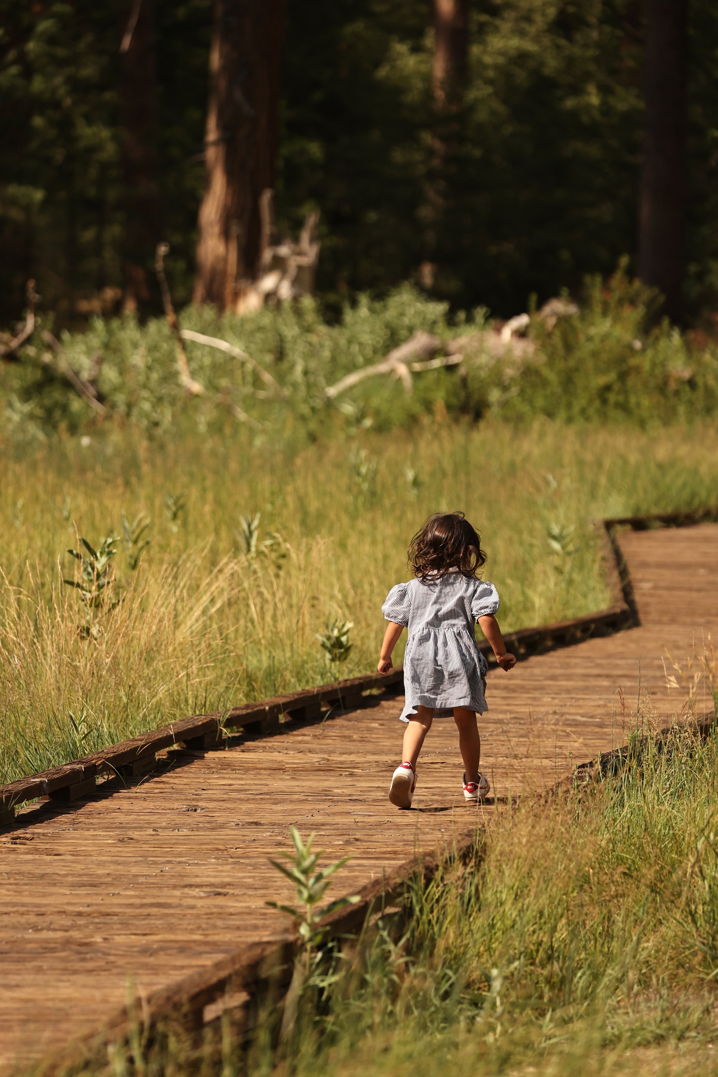 YOSEMITE NATIONAL PARK CALIFORNIA AUGUST 2022 (205).JPG