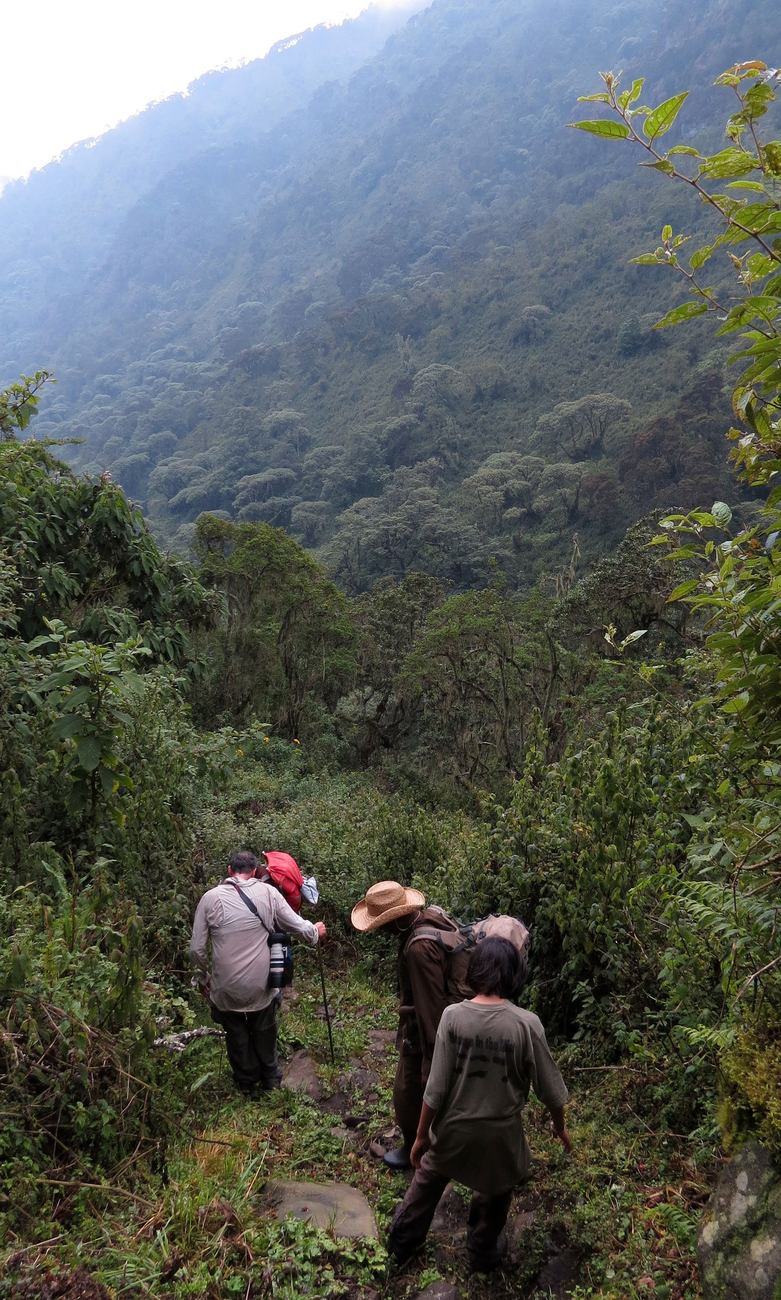 RWENZORI NATIONAL PARK UGANDA (274).JPG