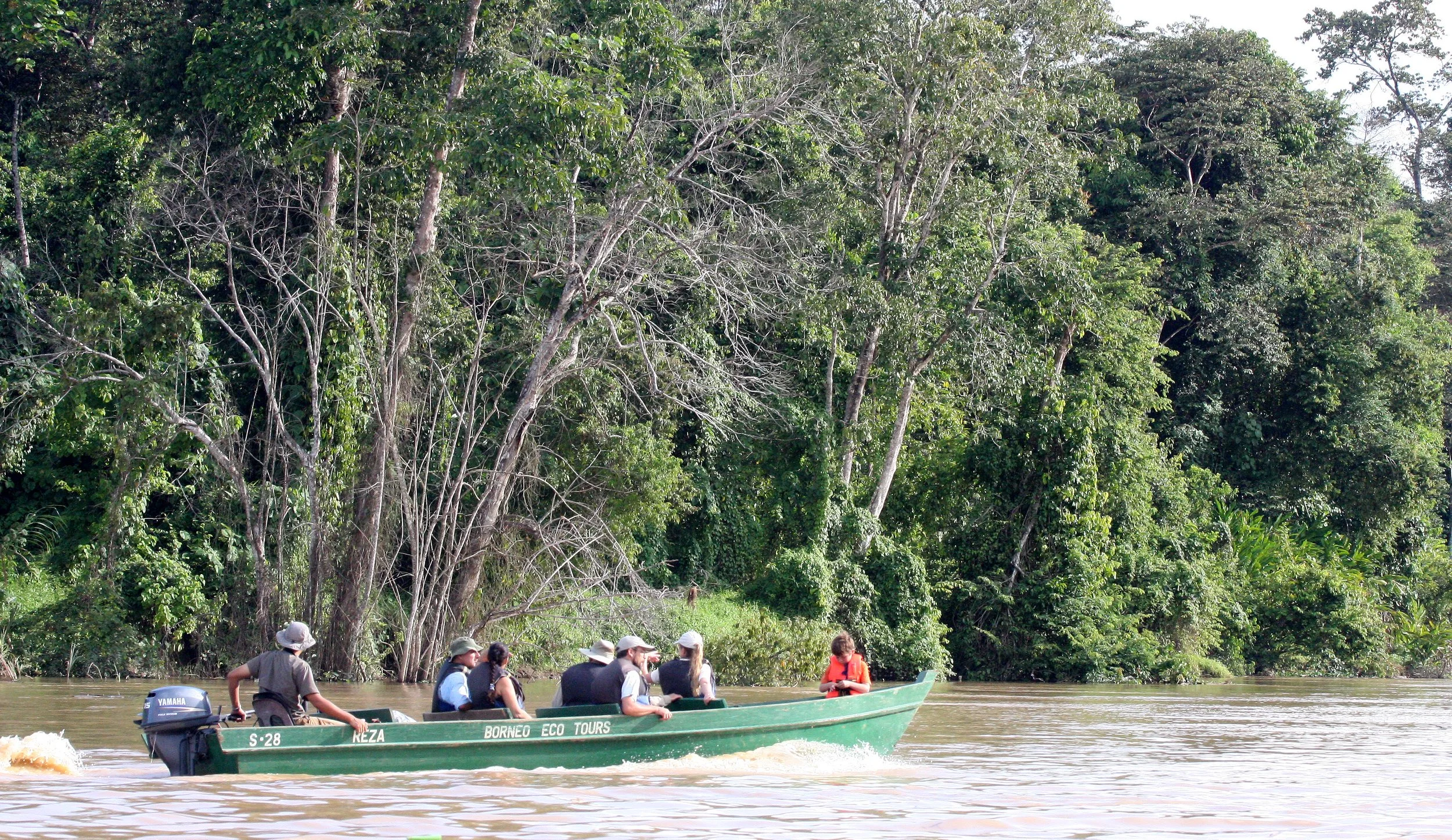 KINABATANGAN RIVER BORNEO - TOURIST BOAT.JPG