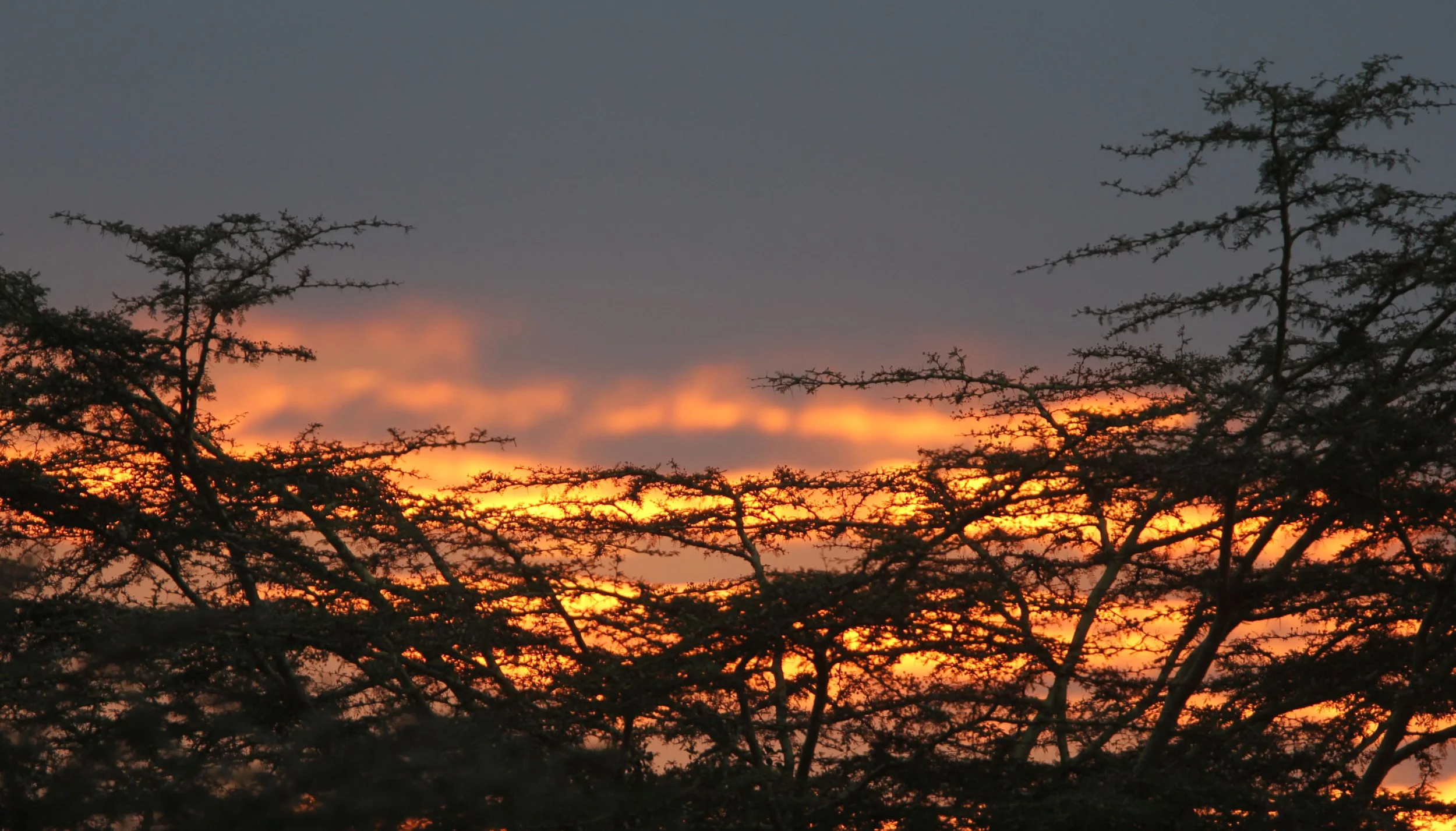 MASAI MARA NATIONAL PARK UGANDA (35).JPG