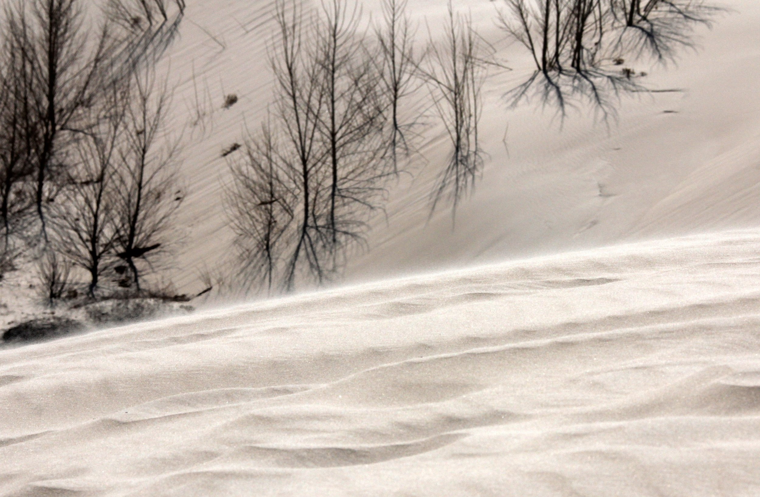 INNER MONGOLIA 2013 (859).JPG