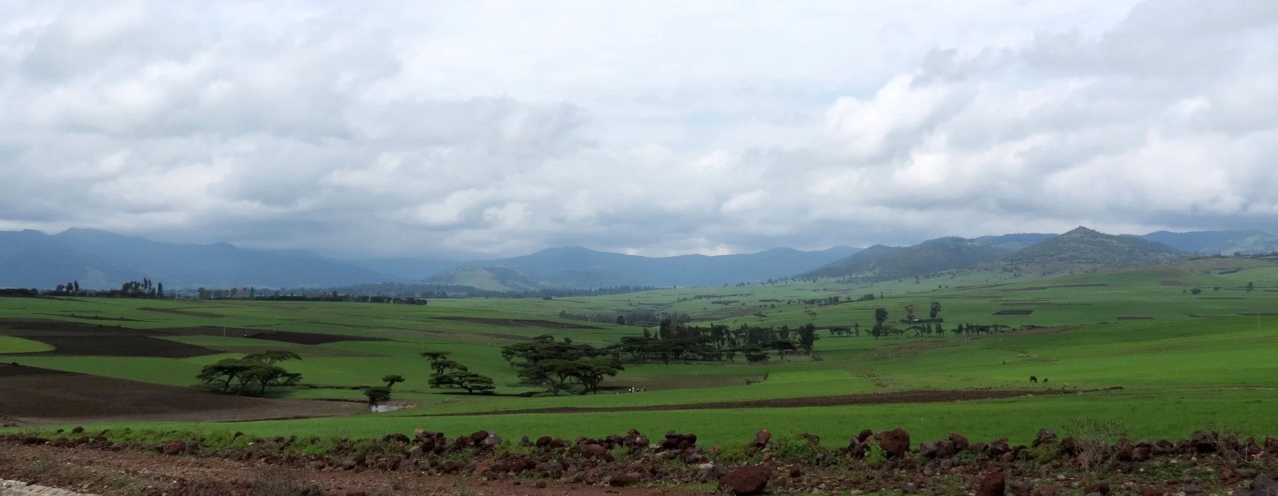 BALE MOUNTAINS NATIONAL PARK ETHIOPIA (3).JPG