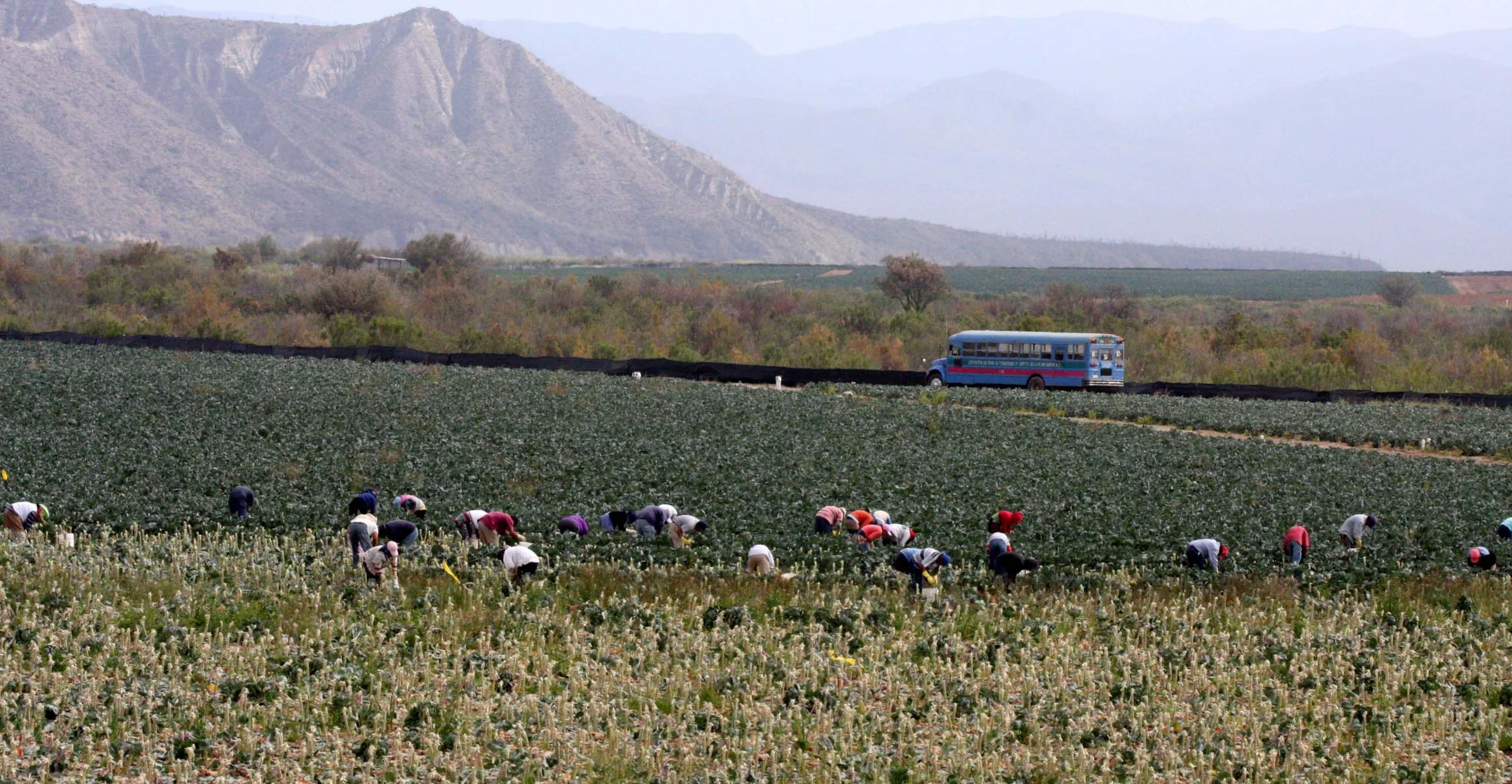 EL ROSARIO BAJA MEXICO - SIERRA LA LIBERTAD RANGE.JPG