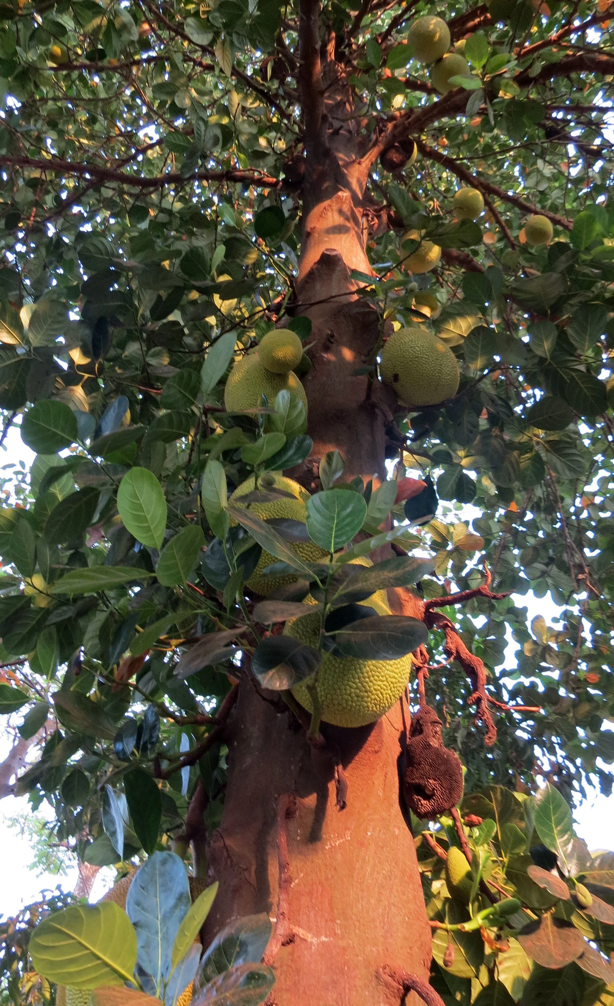 BANGUI -CENTRAL AFRICAN REPUBLIC (83).JPG