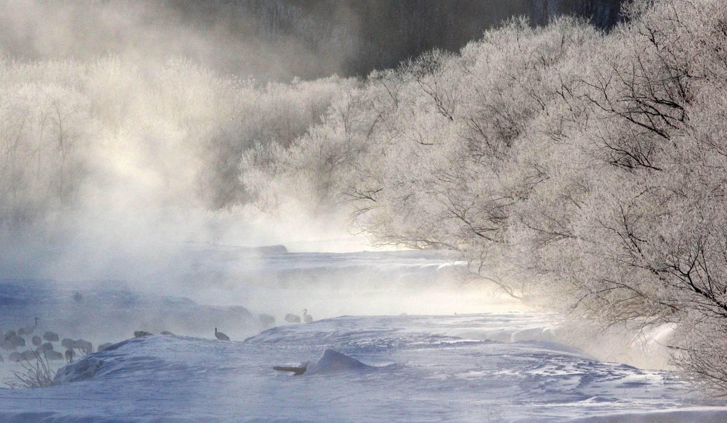 OTOWABASHI SETSUGAWA - TSURUI TOWN - HOKKAIDO JAPAN (40).JPG