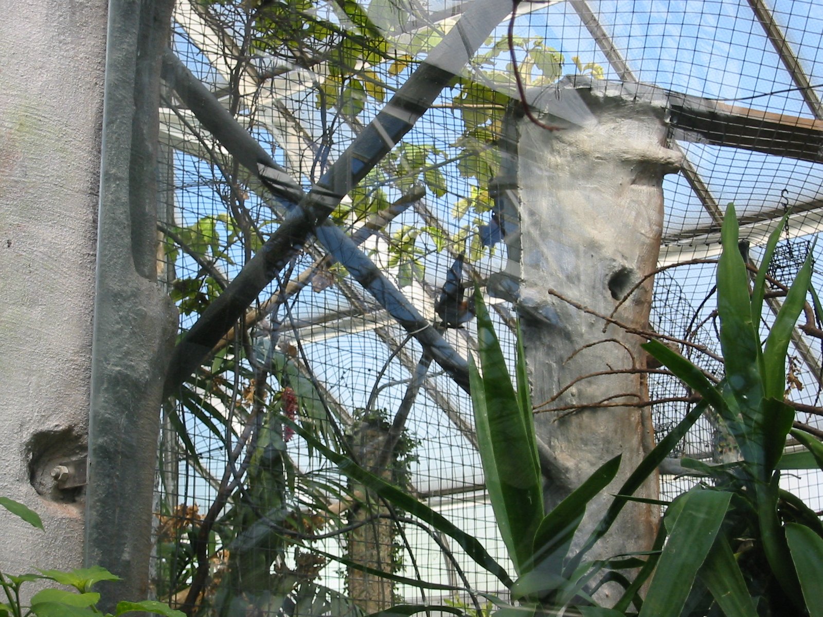 2003-8-3 WASHINGTON VISIT WITH THE ROBINSONS (32).JPG