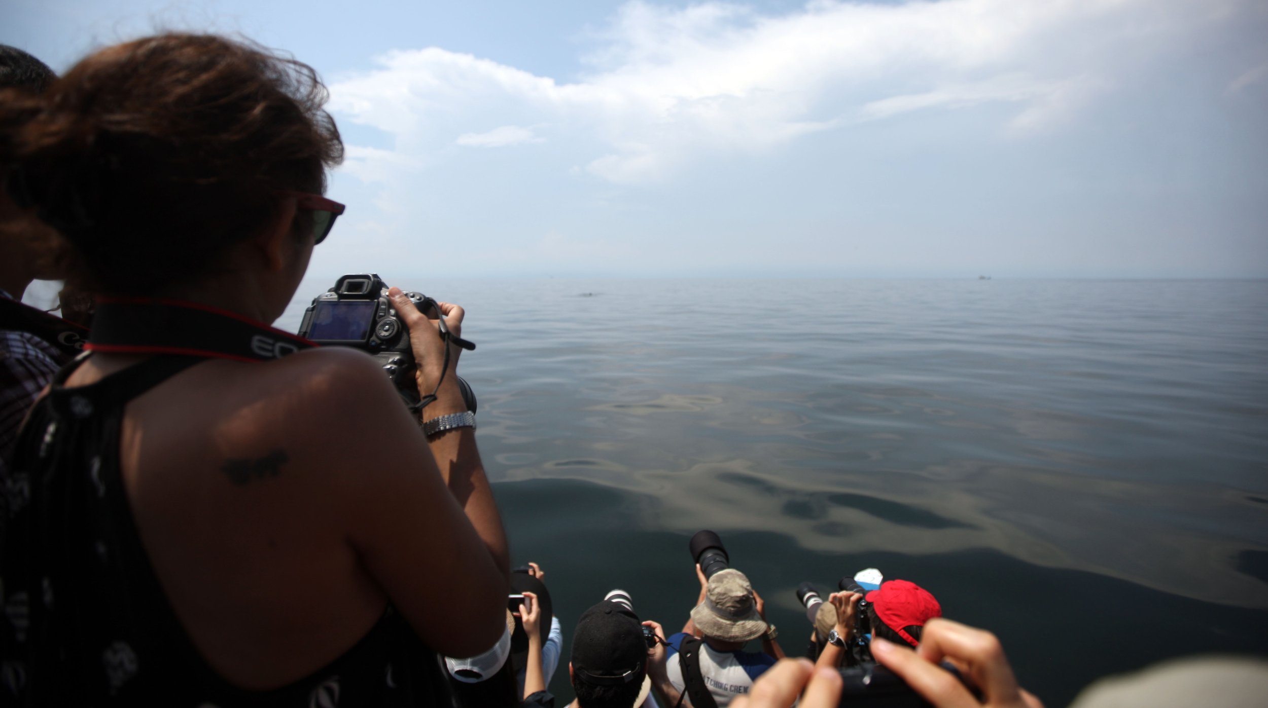 2014 Amphawa Trip to See Whales from Baan Taboon (43).JPG