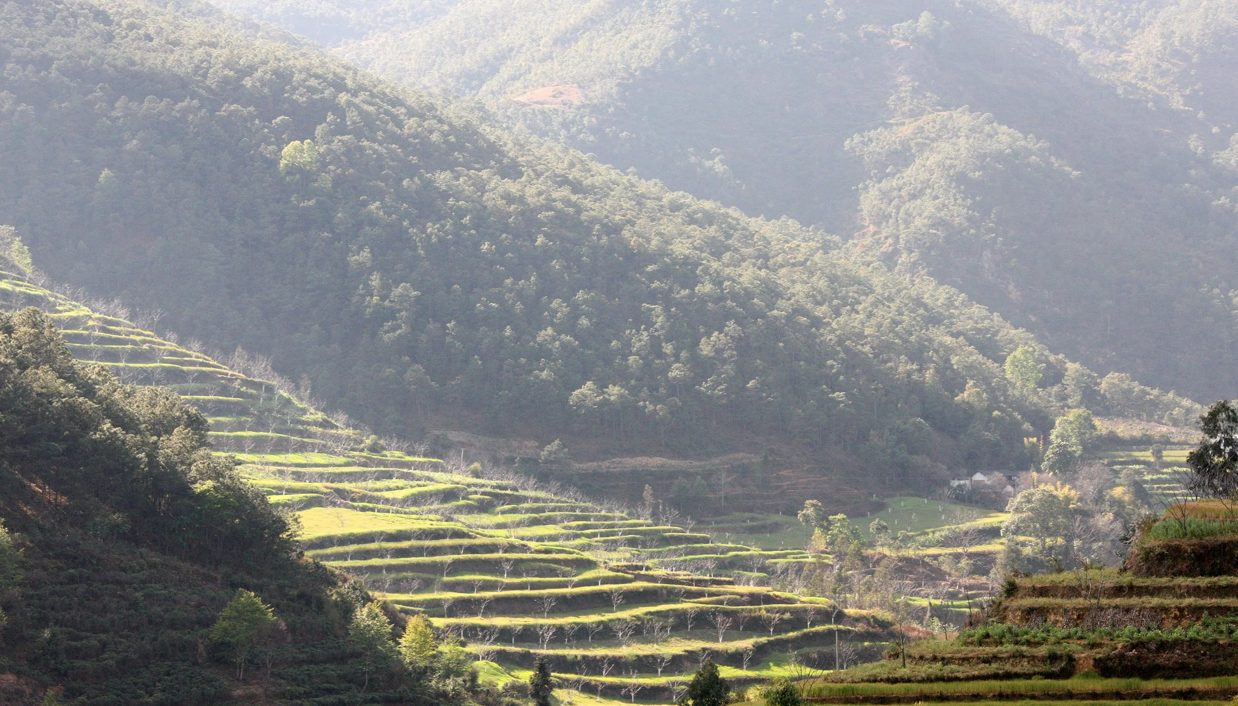 YUNNAN - NANJIAN TOWN AND SURROUNDING REGION (75).JPG