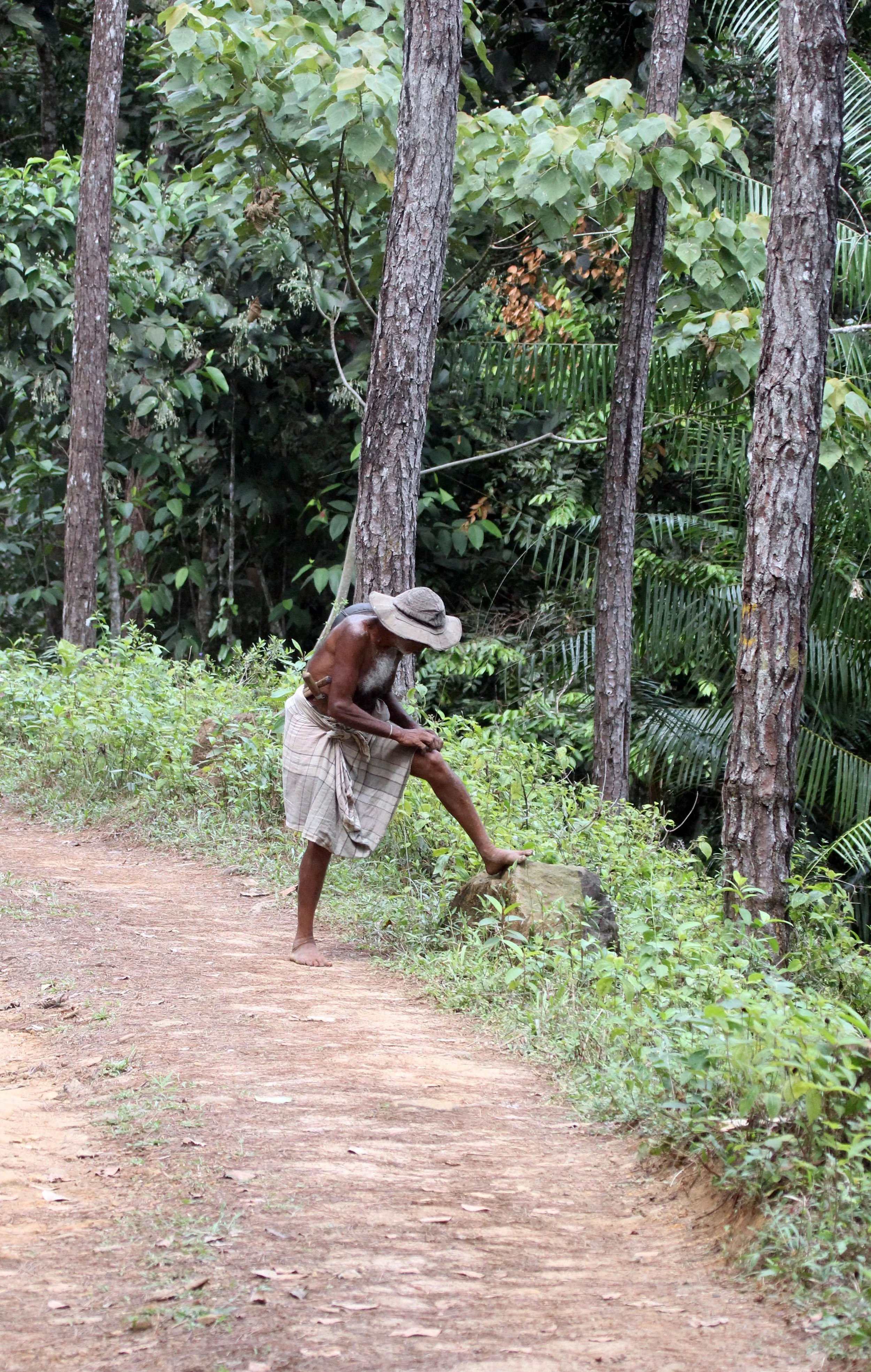 SINGHARAJA NATIONAL PARK SRI LANKA (6).JPG