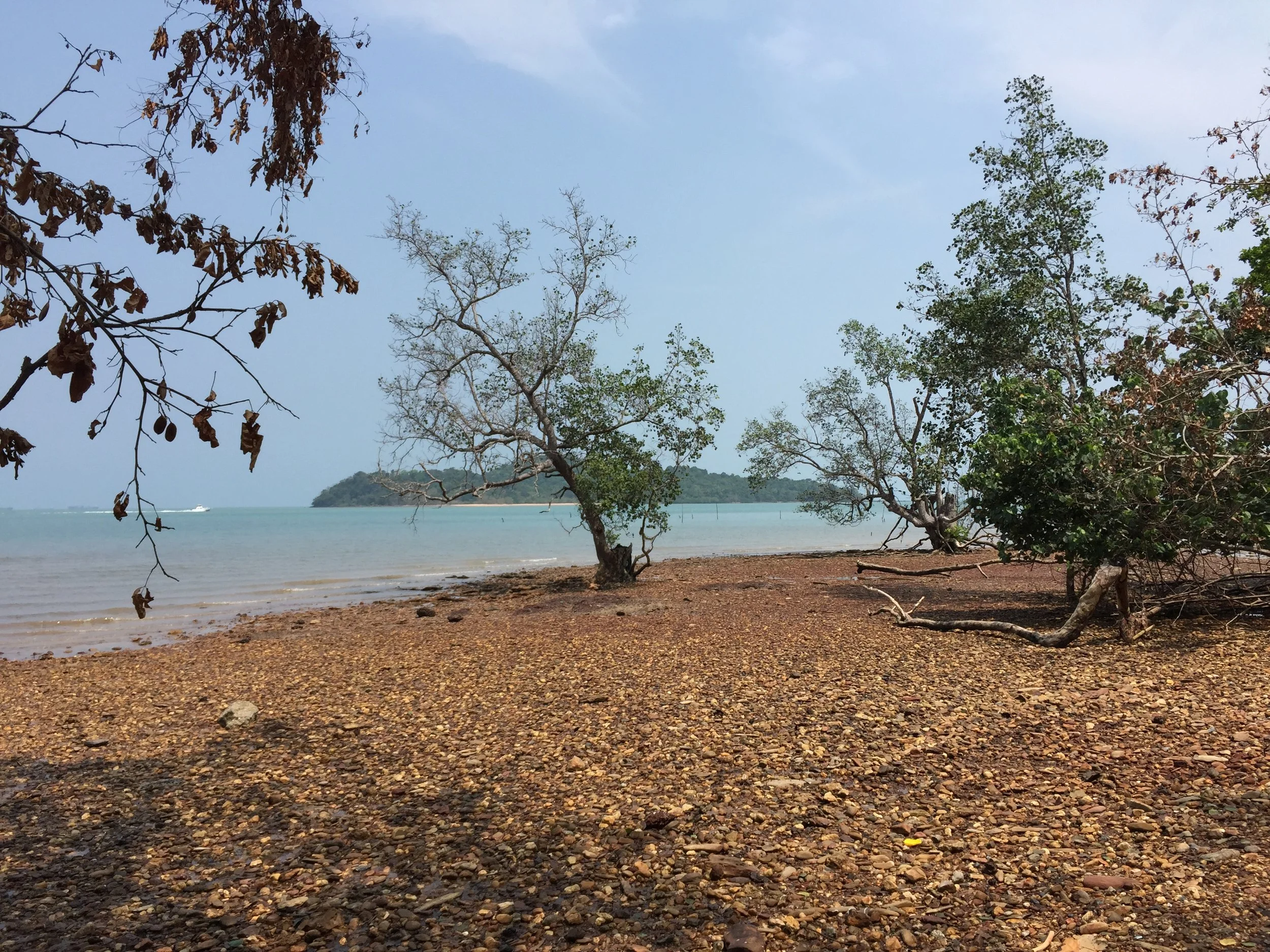2015 Lanta Project and Scenes (40).JPG