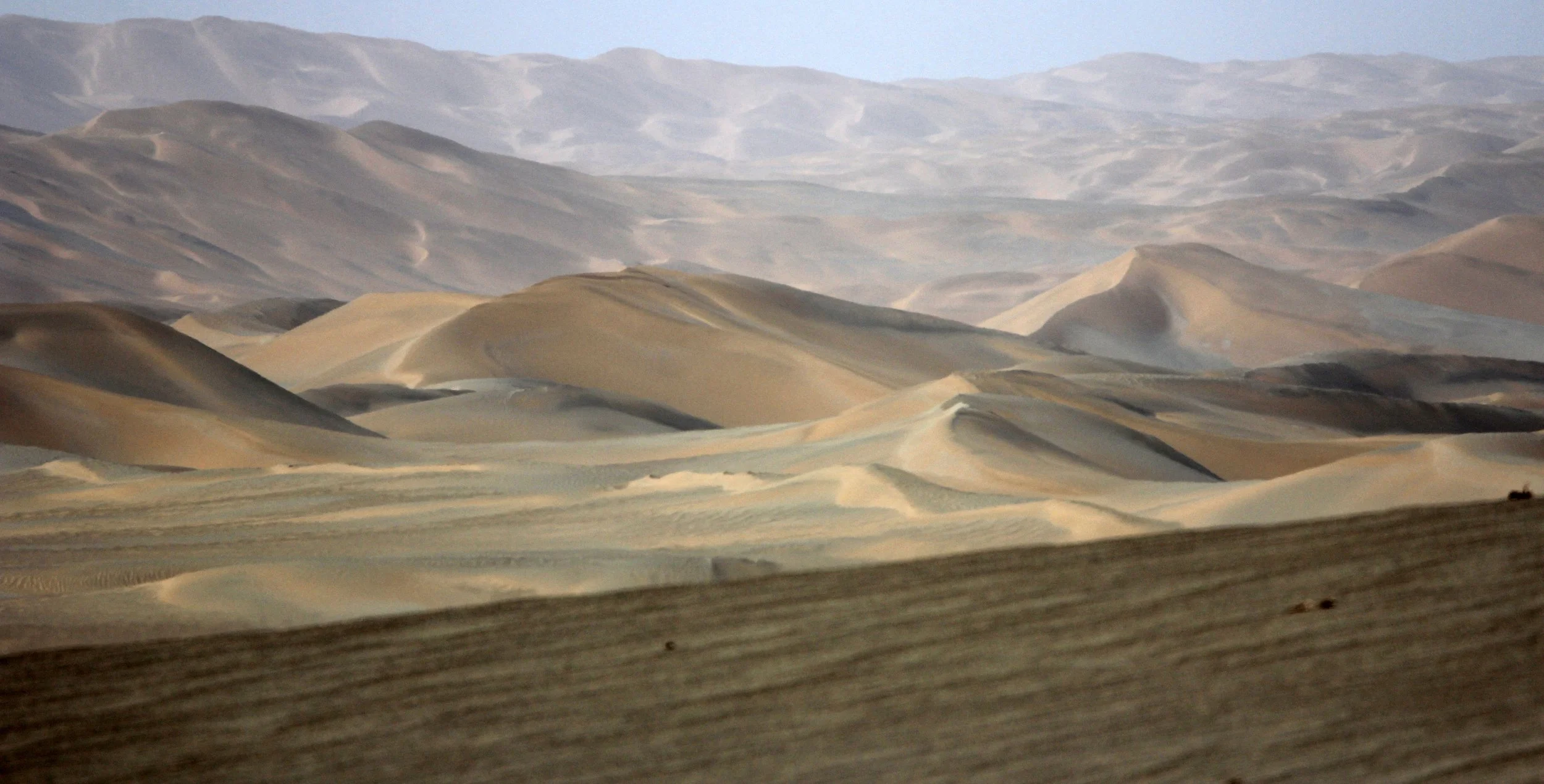 LOP NUR WILD BACTRIAN CAMEL RESERVE - XINJIANG CHINA (124).JPG