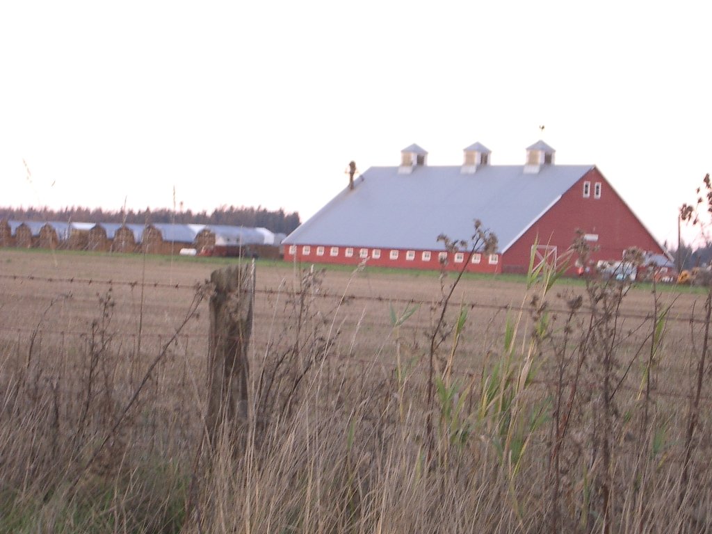 Sequim Olympic Peninsula