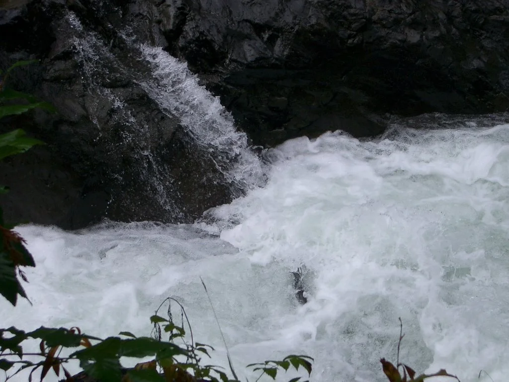2003-10-11 TRIP TO WESTEND OF OLYMPIC PEN AND SOL DUC FALLS (6).JPG