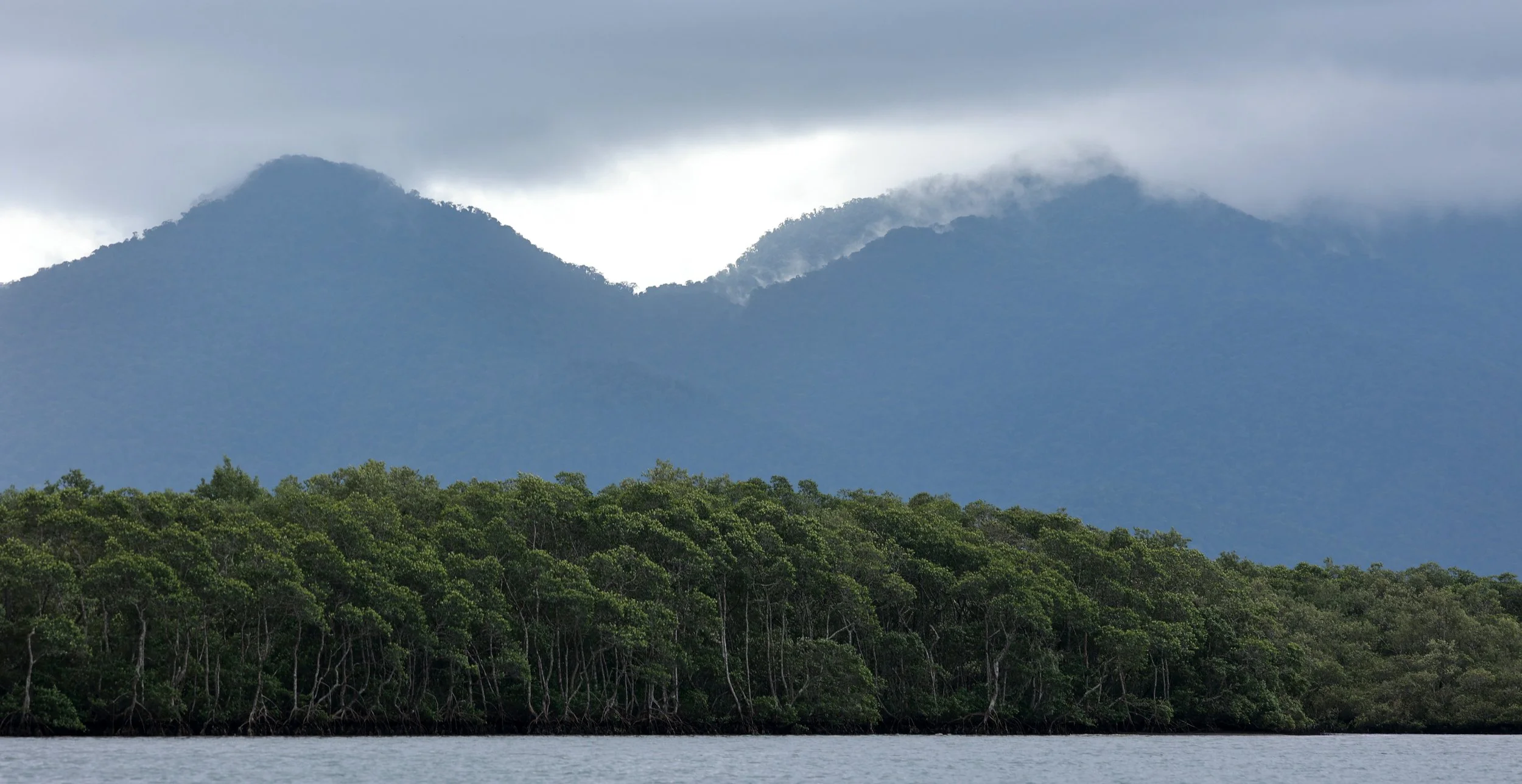 Superagüi National Park