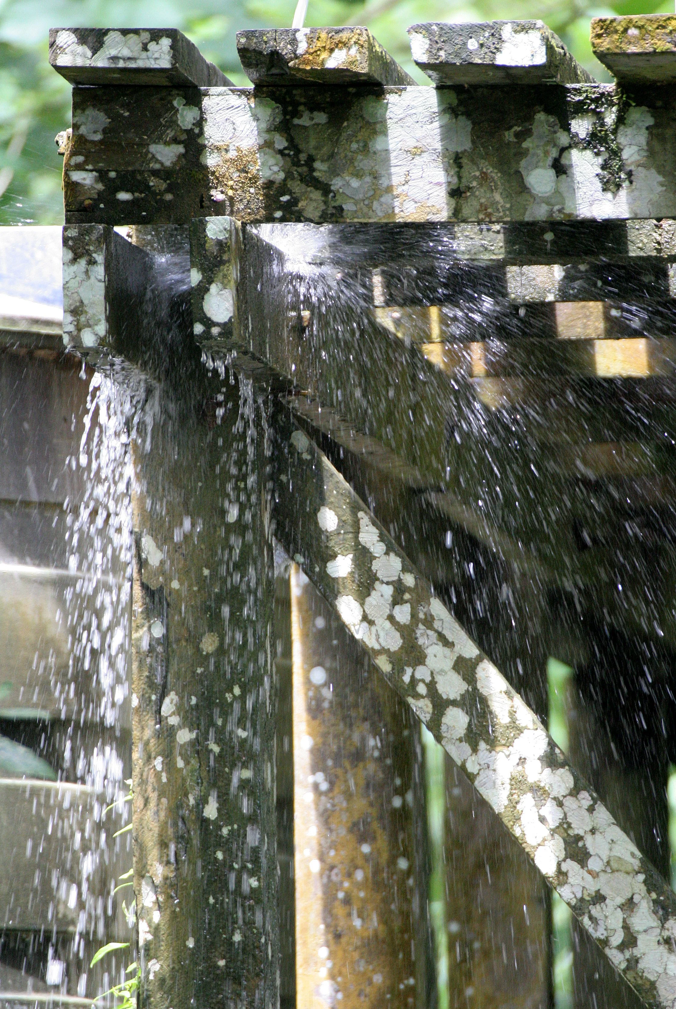 KINABATANGAN RIVER BORNEO - SRL WATER SOURCE.JPG