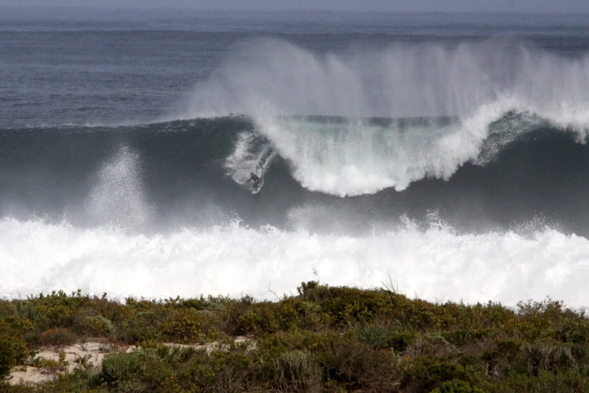 LAMBERT'S BAY SOUTH AFRICA - SURF'S UP! (24).JPG