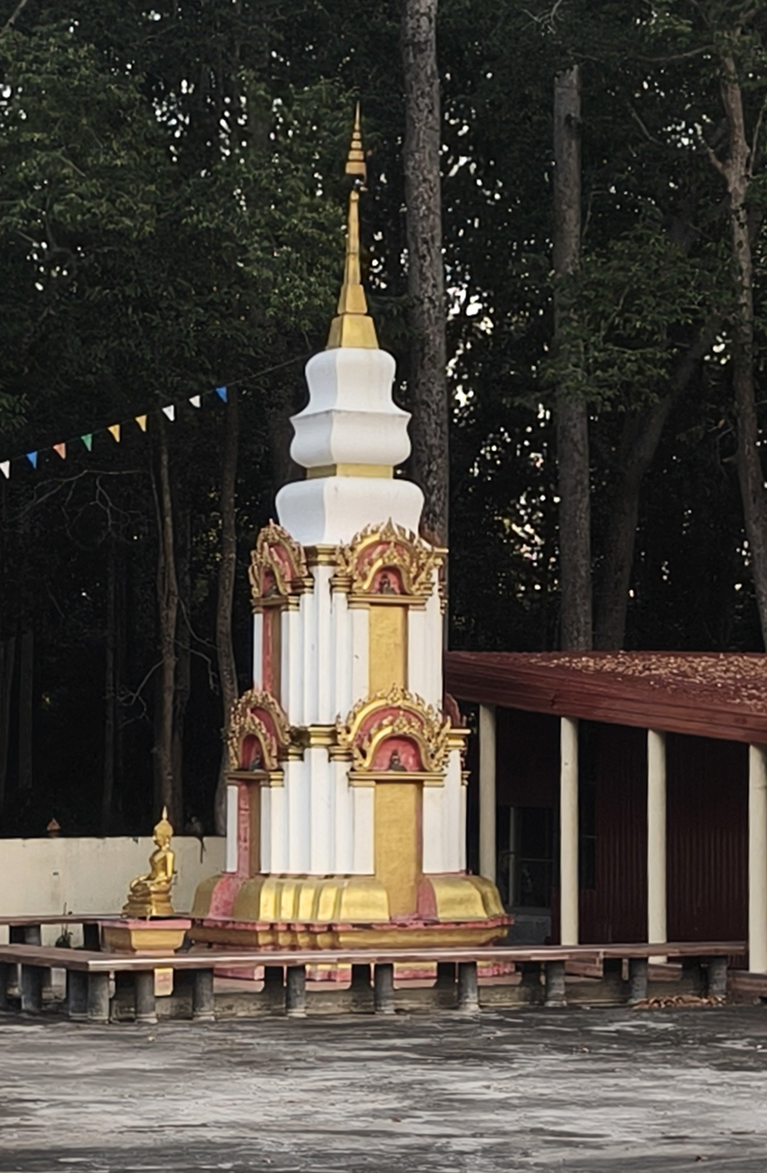 Wat Ku Phra Kona - Roi Et (36).jpg