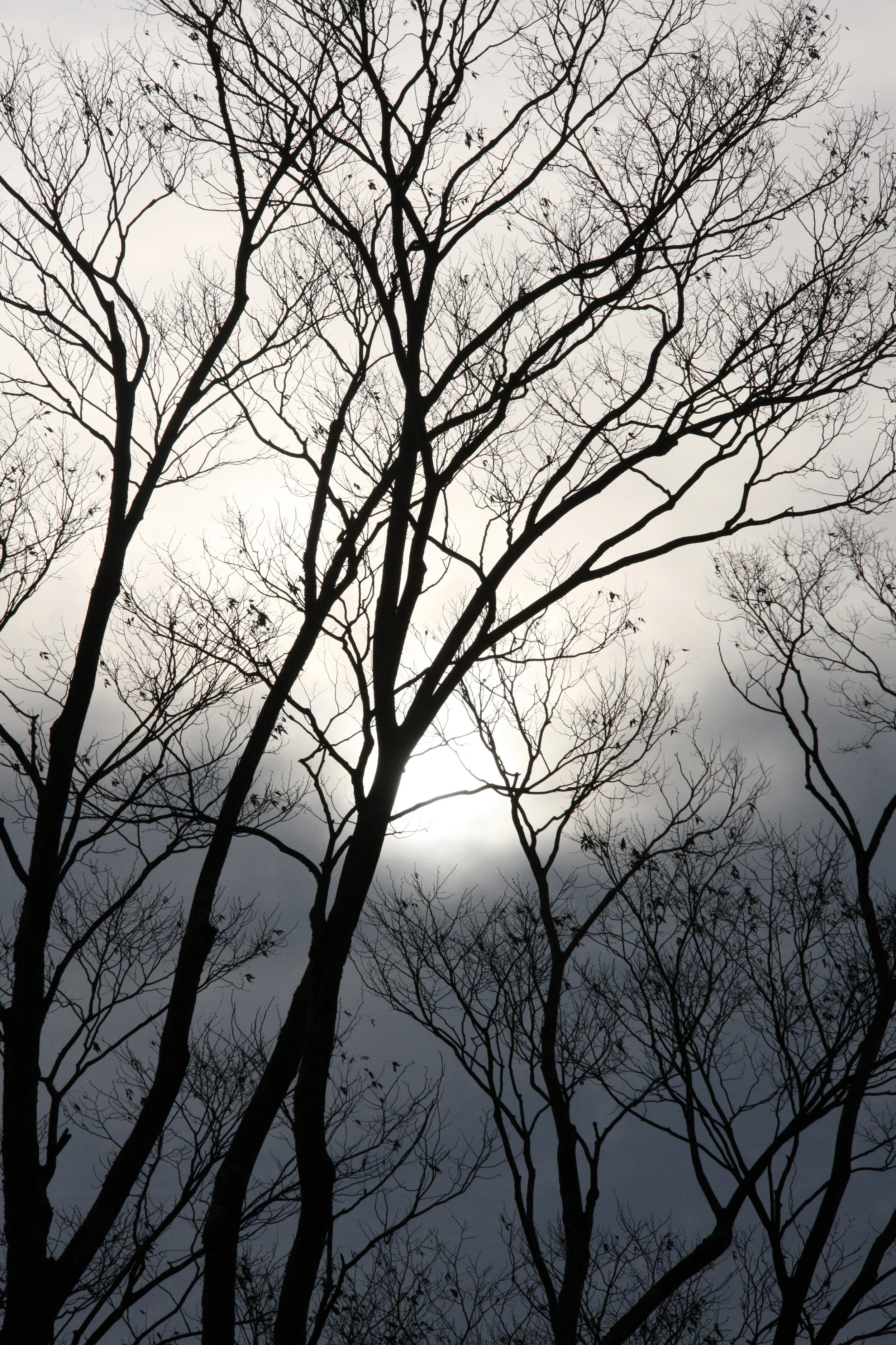MAGOME JUKU POST TOWN - NAGANO PREFECTURE JAPAN (23).JPG