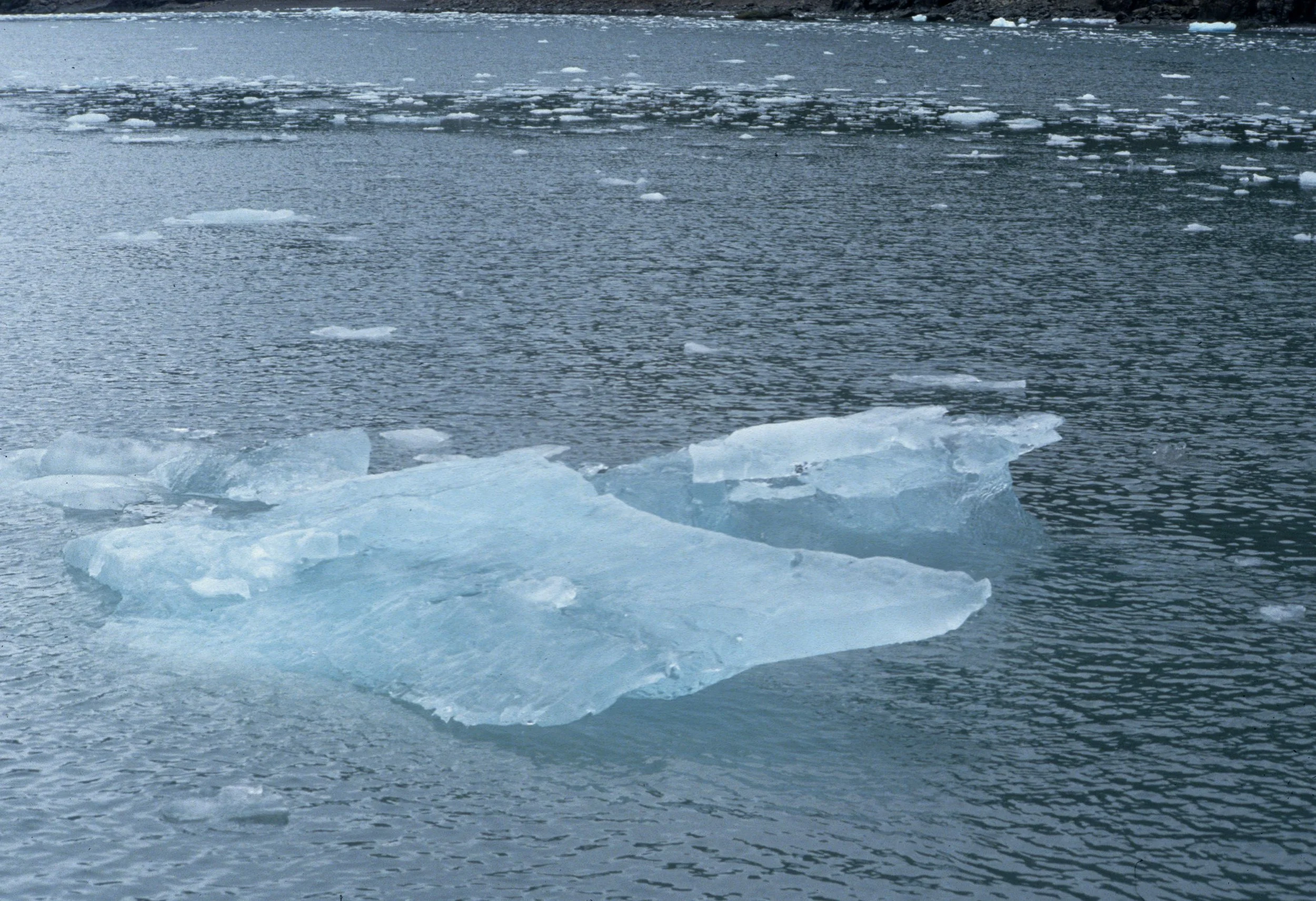 ALASKA - KENAI FJORDS NP A.jpg