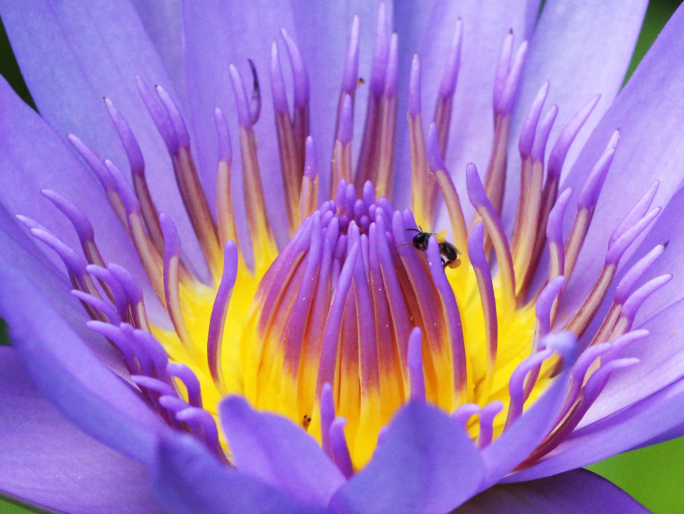 2013 Cha'am and Petchaburi with Family & Friends (115).jpg