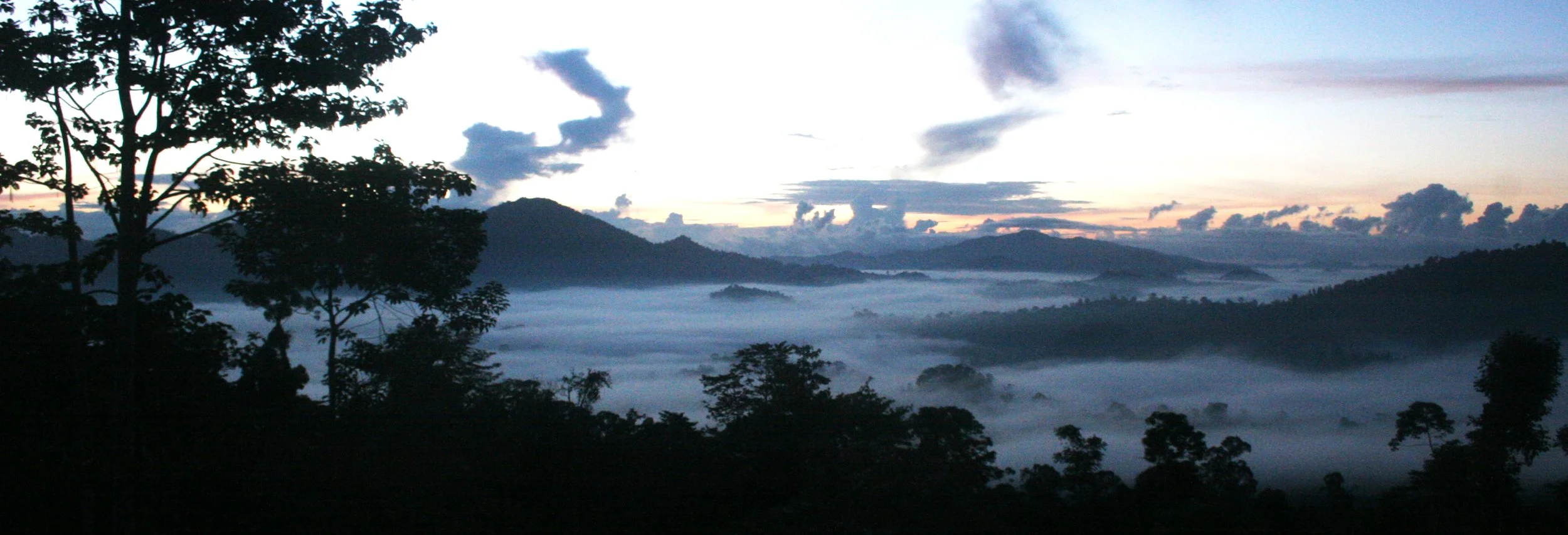 DANUM VALLEY BORNEO - SUNRISE OVER THE DANUM (15).JPG