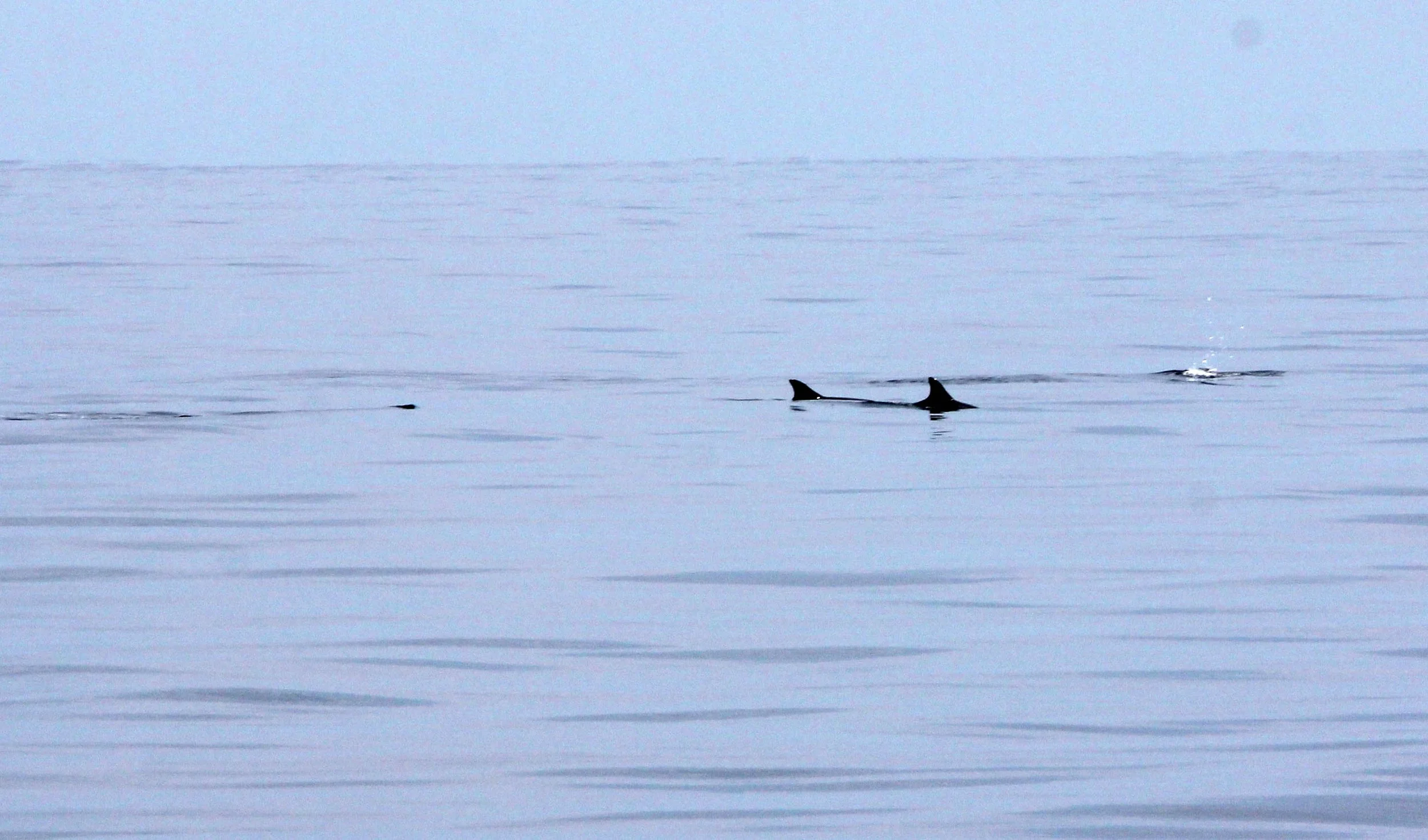 2014 Similans Trip with Family on The Junk (218).JPG