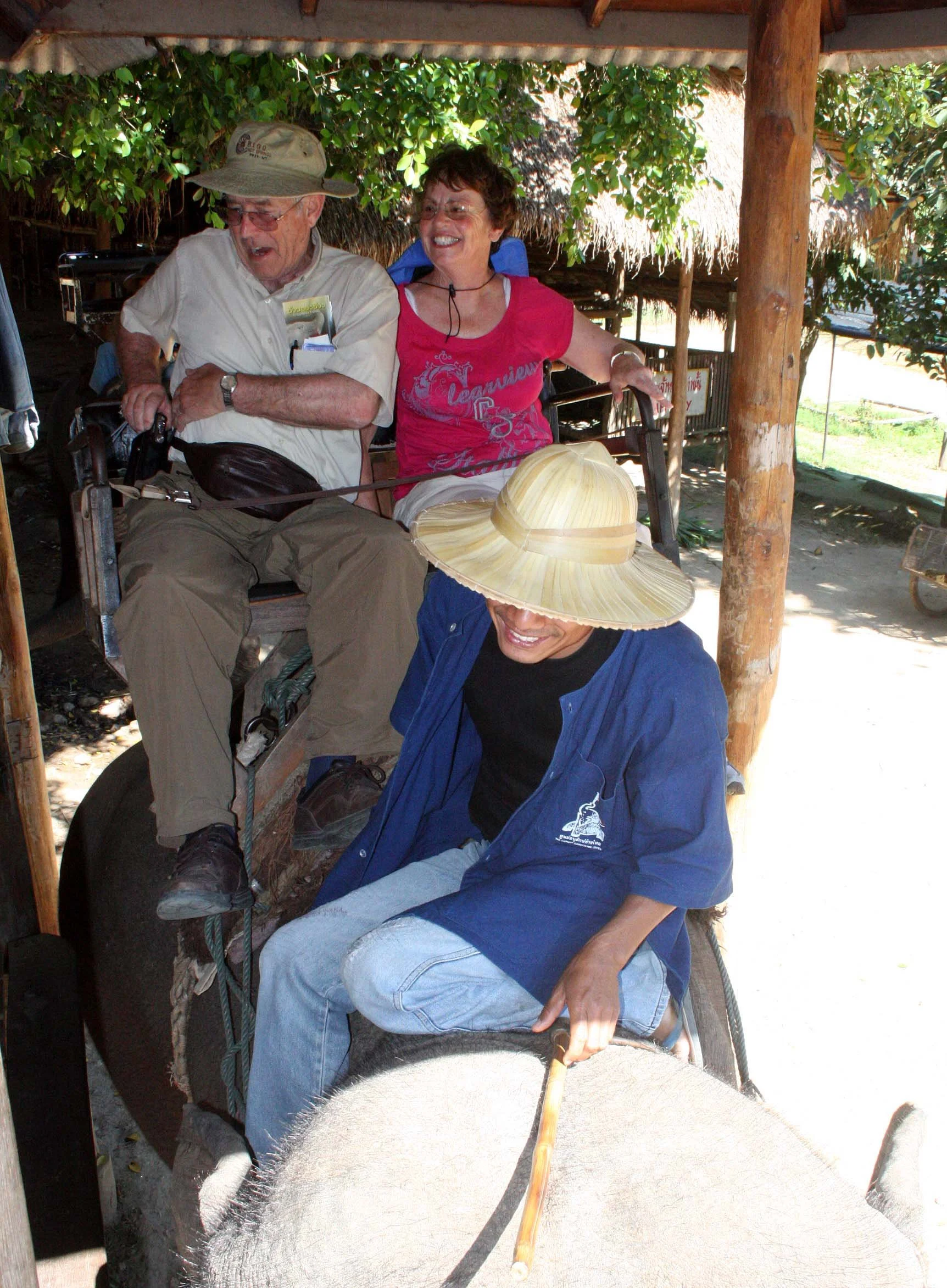 2008 Lampang City & Elephant Center (12).JPG