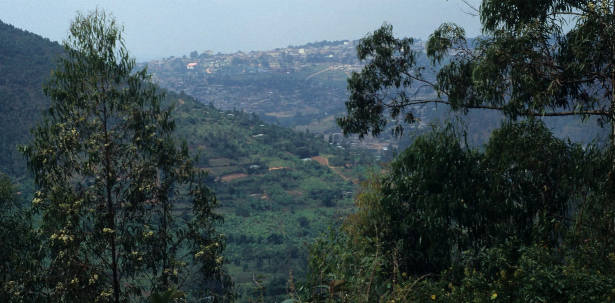 RWANDA - RUWENGERI C.jpg