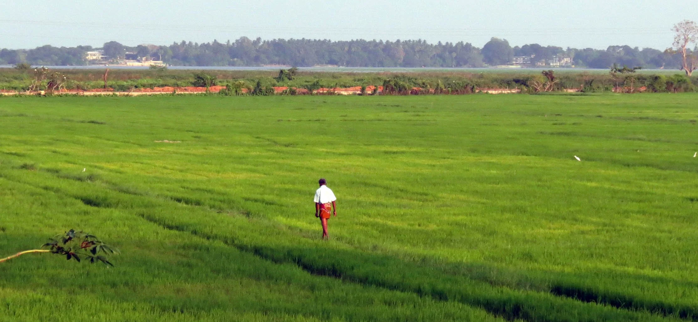 YALA NATIONAL PARK SRI LANKA - KIRINDA VILLAGE AREA (1).JPG