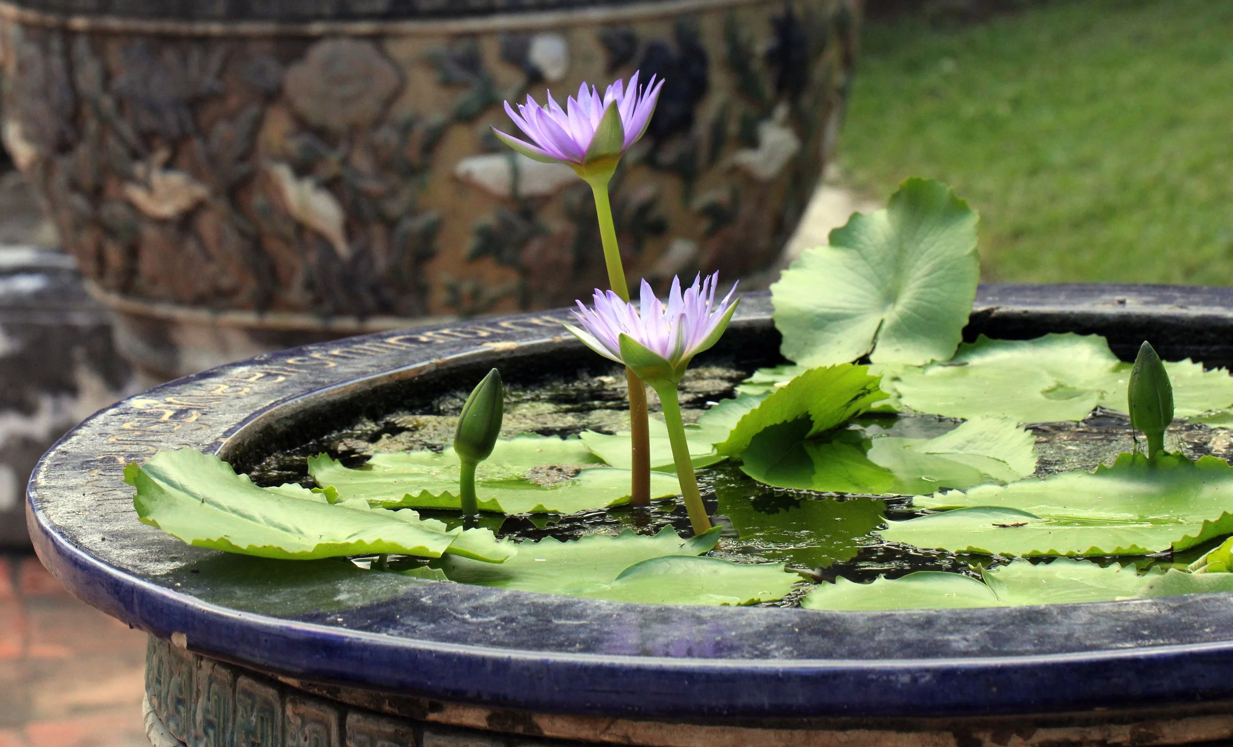 2013 Cha'am and Petchaburi with Family & Friends (123).JPG