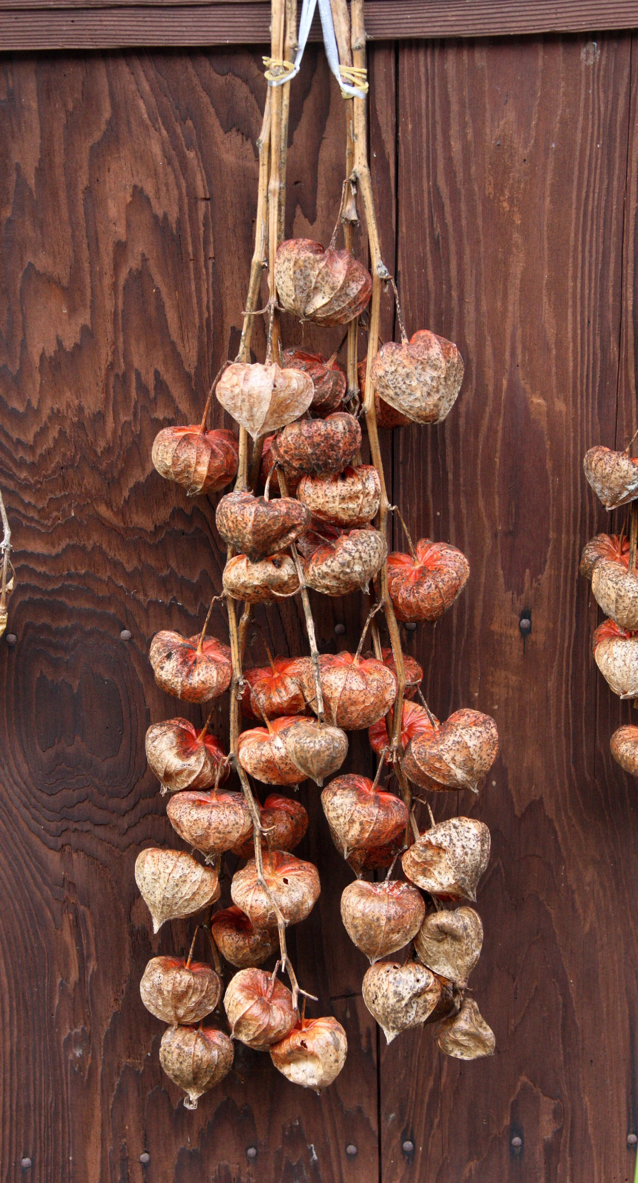 MAGOME JUKU POST TOWN - NAGANO PREFECTURE JAPAN (10).JPG