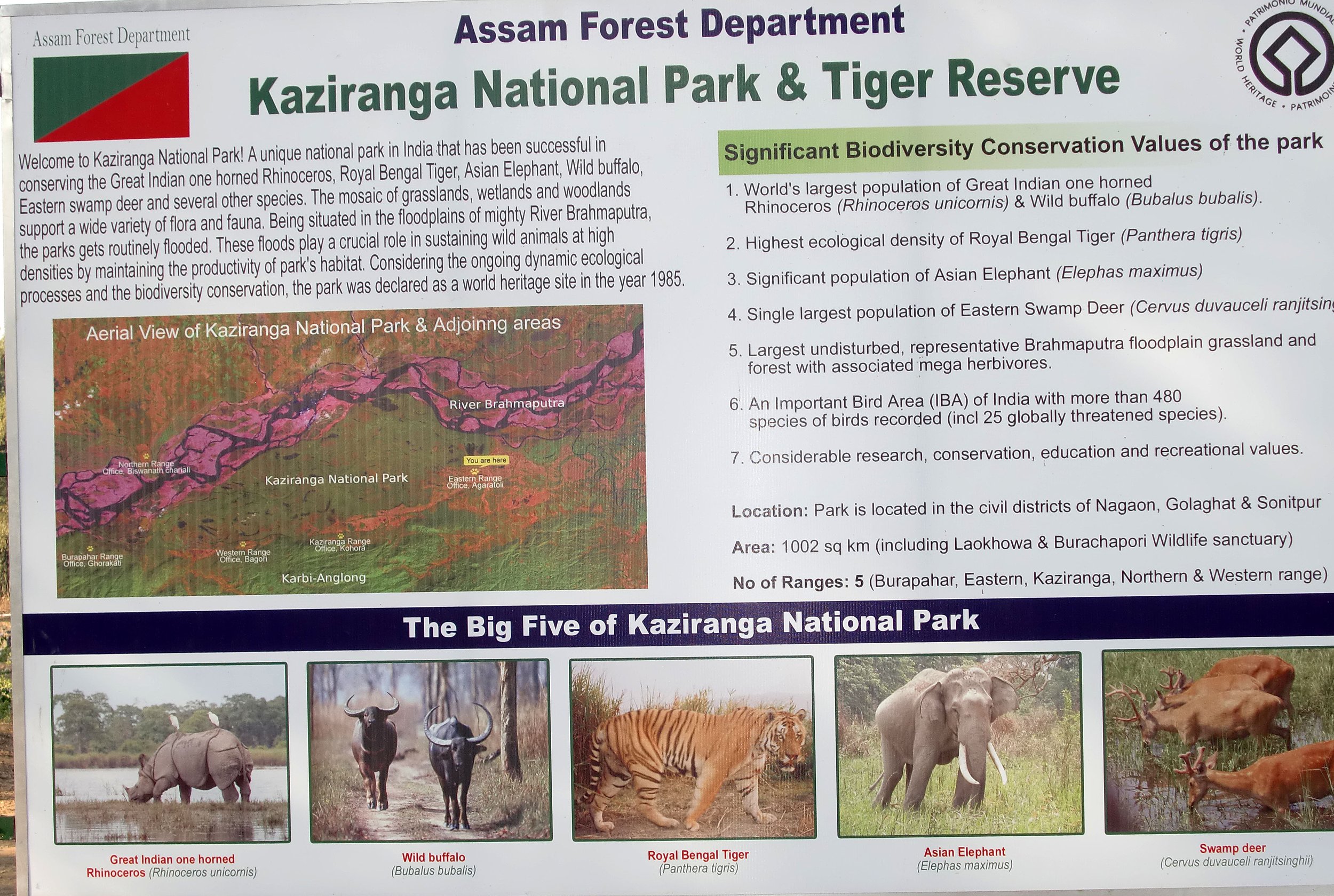 ASSAM - KAZIRANGA NATIONAL PARK INDIA (10).JPG