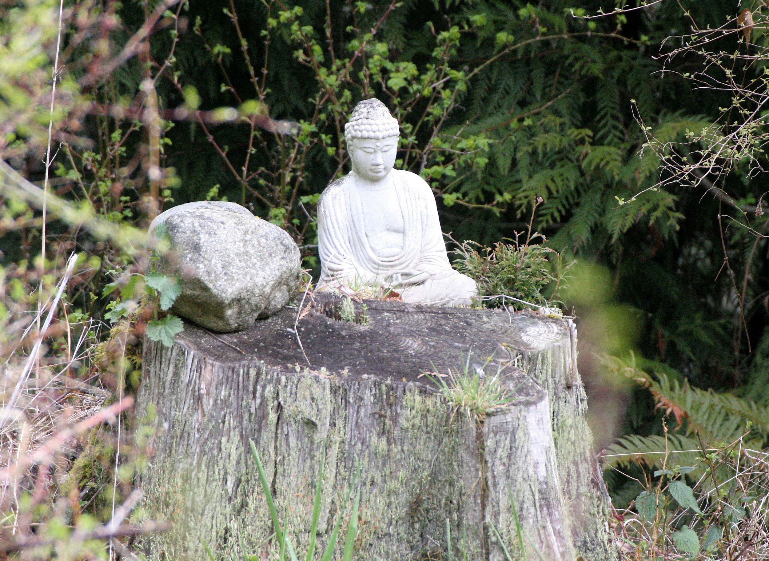 2008-4-19 LAKE FARM TRAILS STROLL (2).JPG