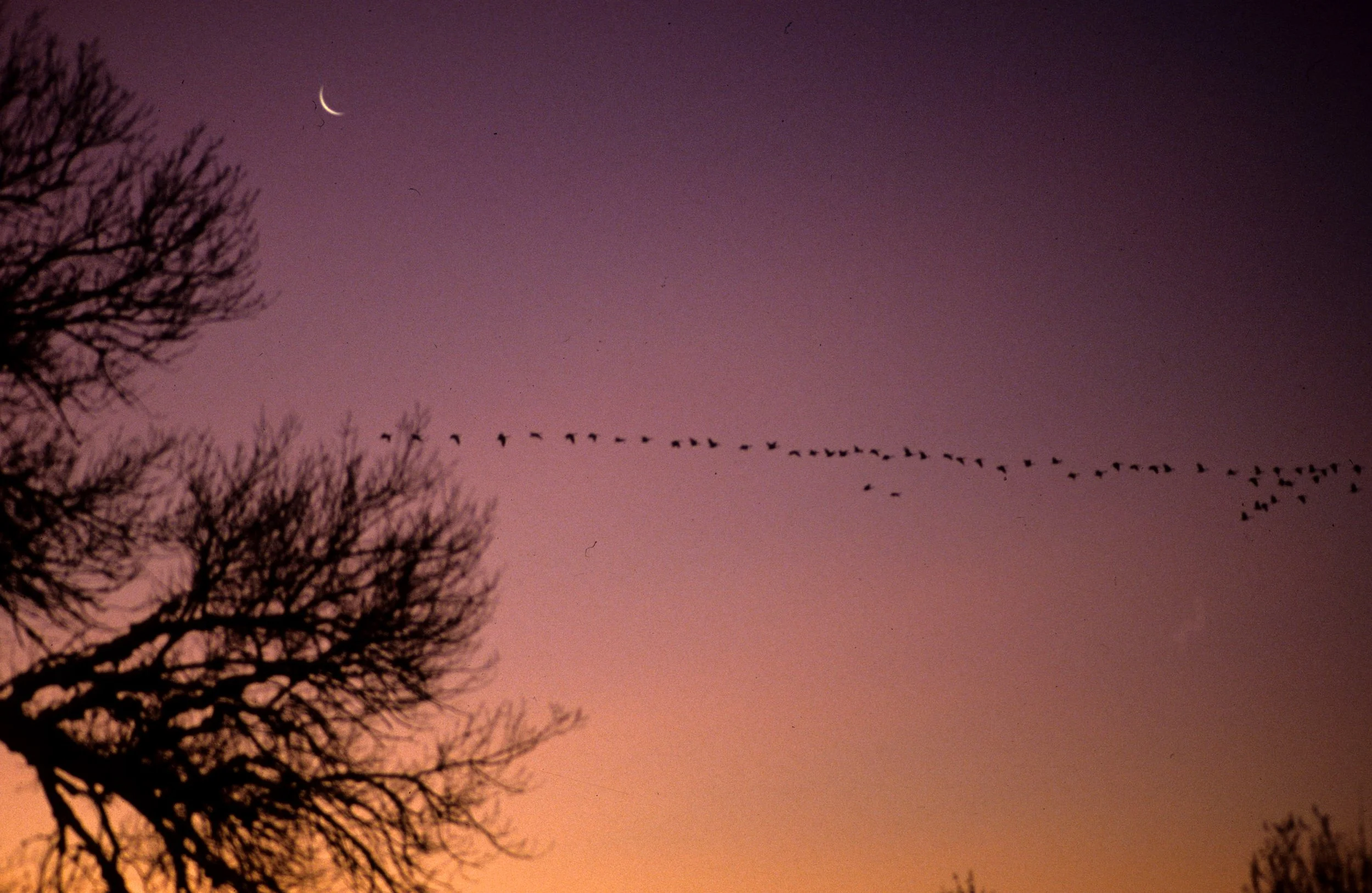 GREAT PLAINS - SUNRISE IN NEBRASKA.jpg