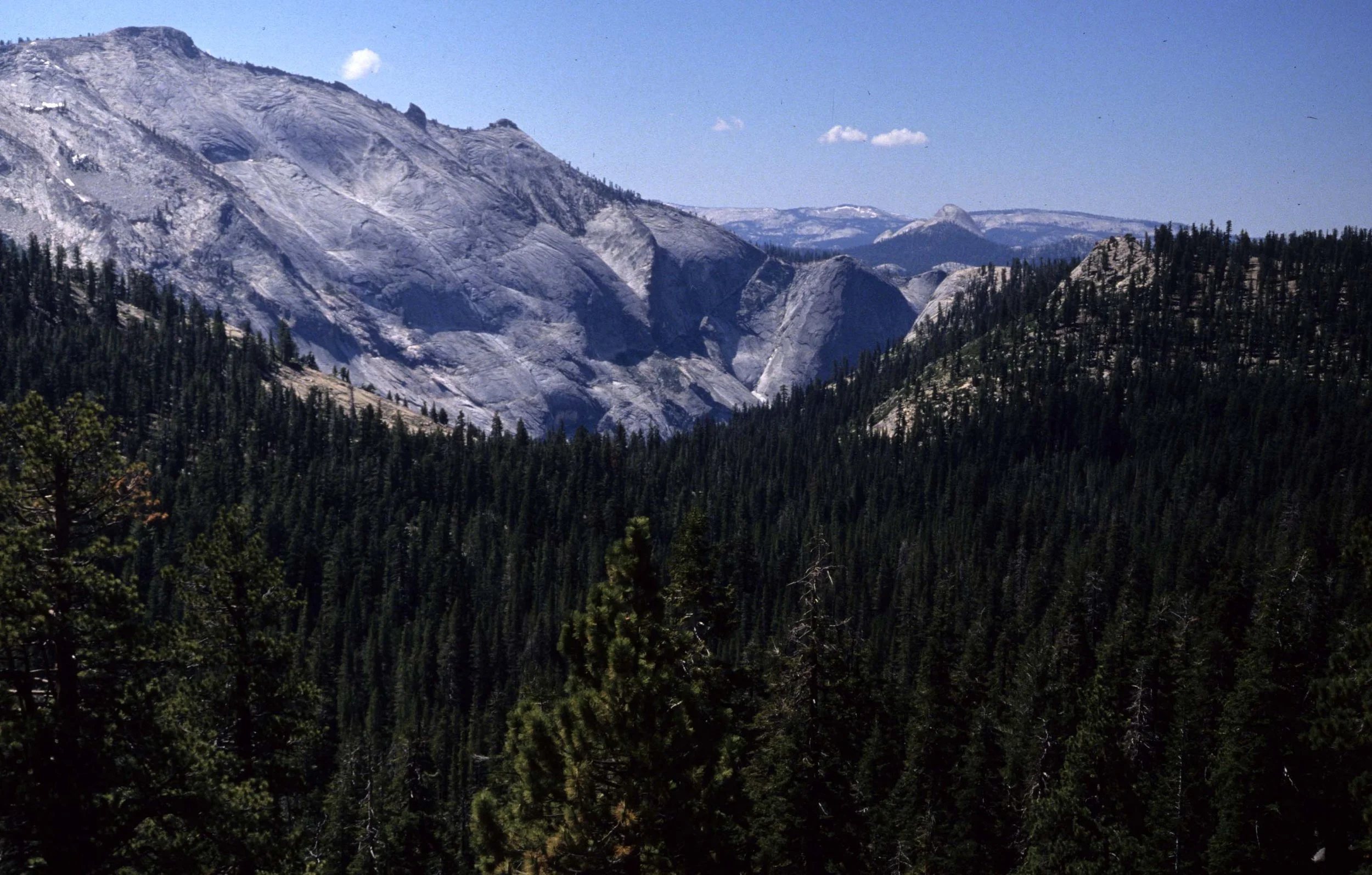 CALIFORNIA - YOSEMITE NP  (10).jpg