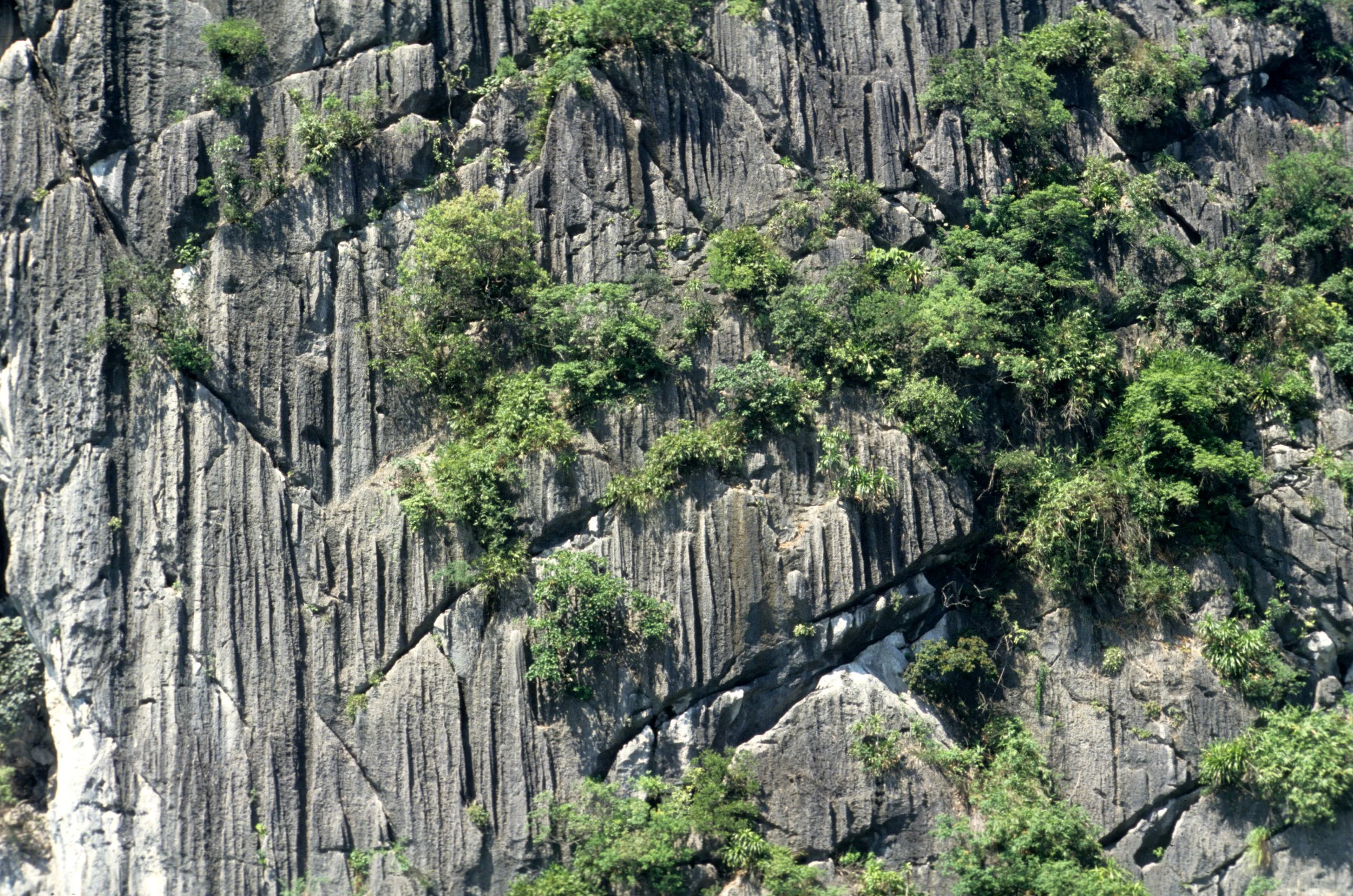 HALONG BAY - KARST CLIFF.jpg