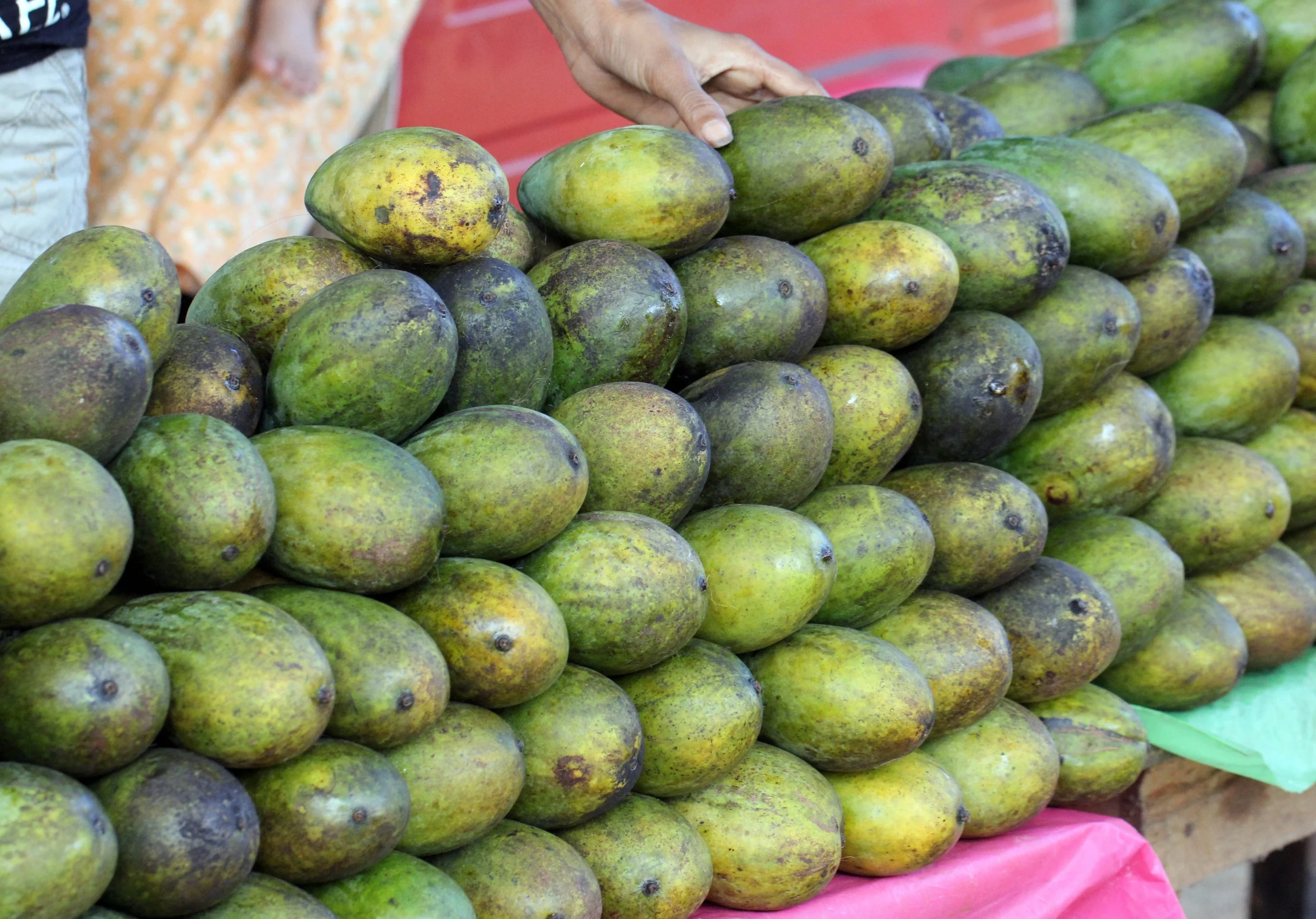 SIRIGIYA FOREST AND FORTRESS AREA SRI LANKA - PHOTO BY SOM SMITH (24).JPG