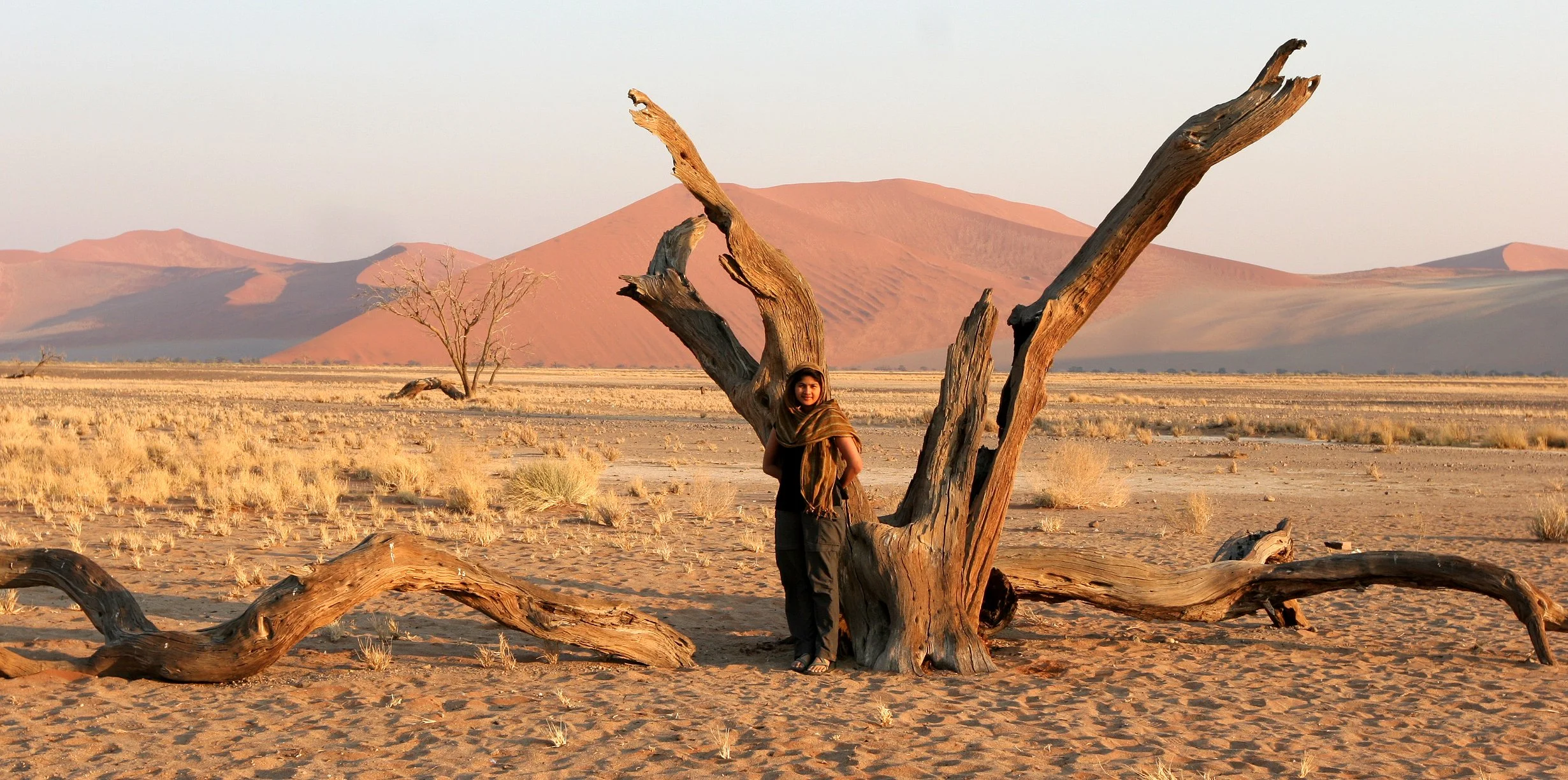 NAMIBIA - SOSSUSVLEI - DUNES - NAMIBIA (23).JPG
